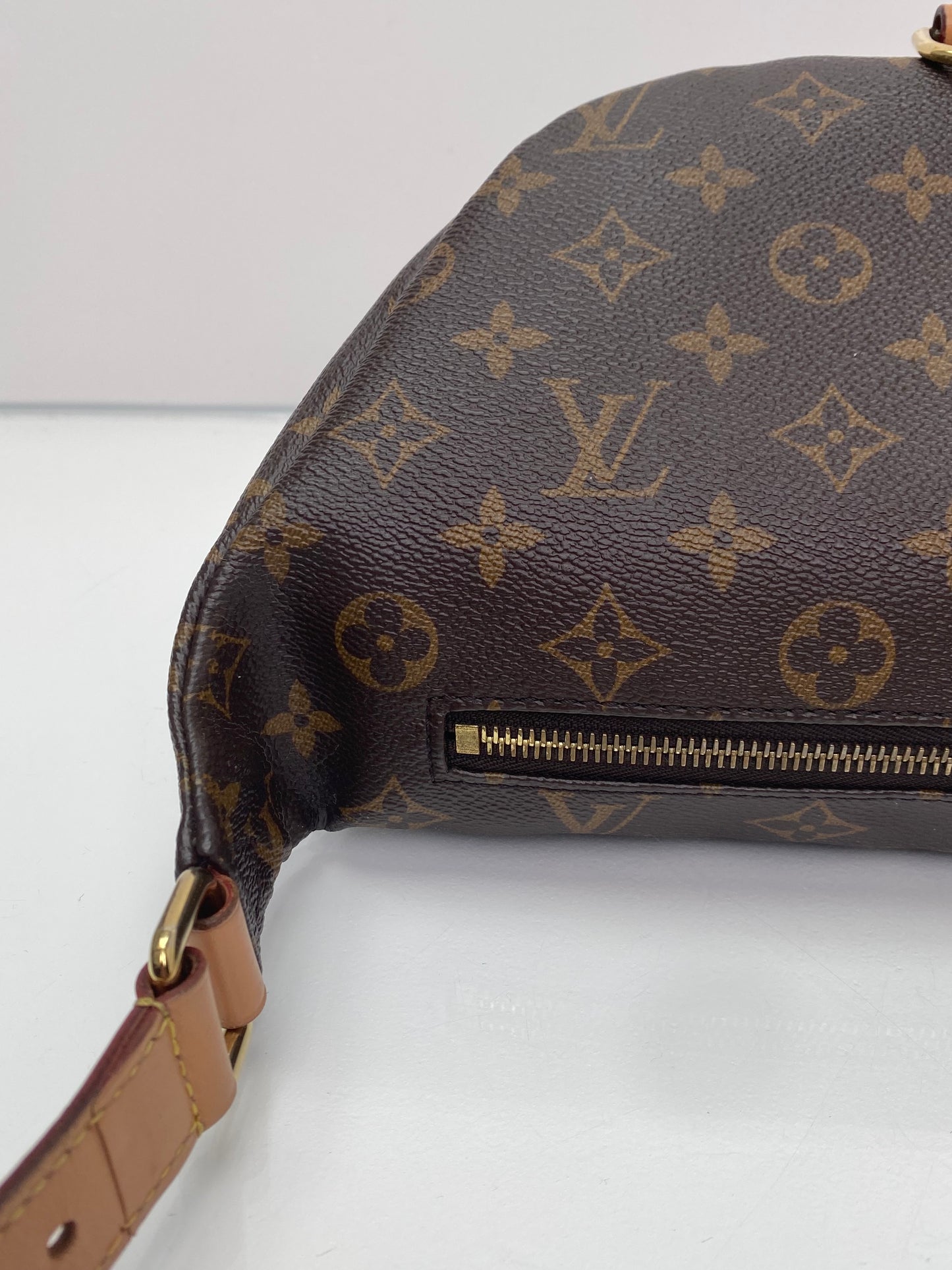 Louis Vuitton Monogram Bum Bag