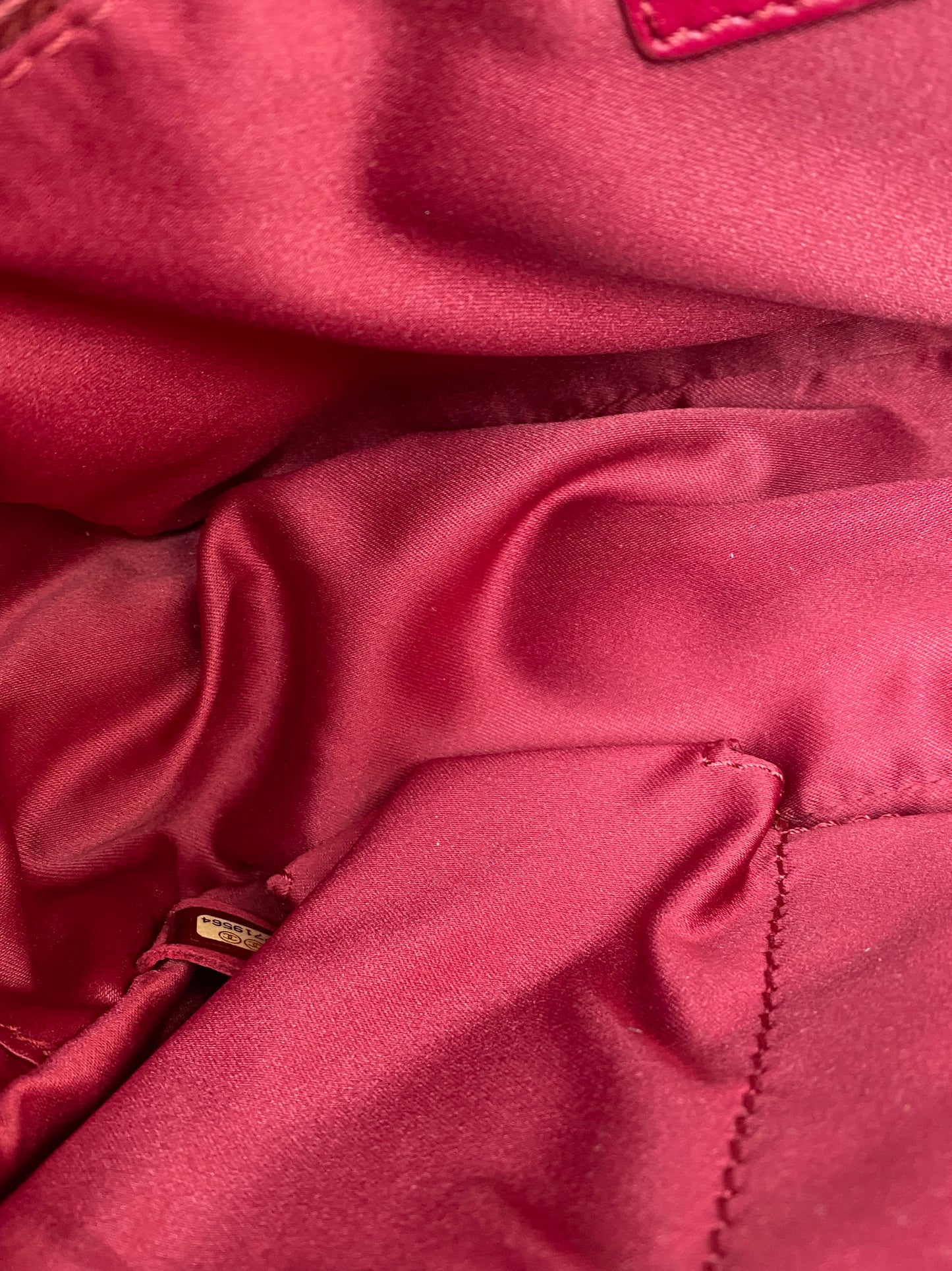 Chanel Pink Exotic Shoulder Bag SHW