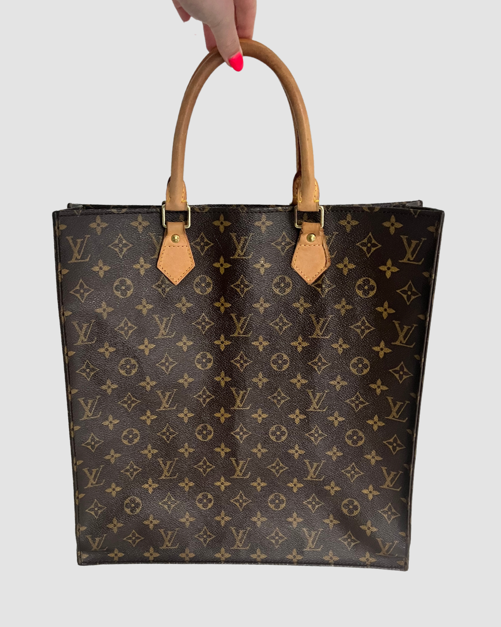 LOUIS VUITTON Monogram Giant Spring In The City Petit Sac Plat