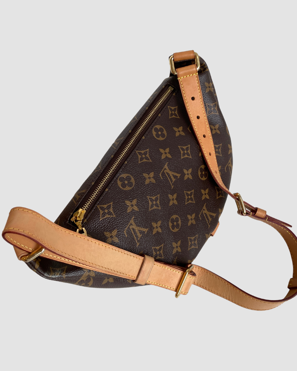 Louis Vuitton Monogram Bum Bag