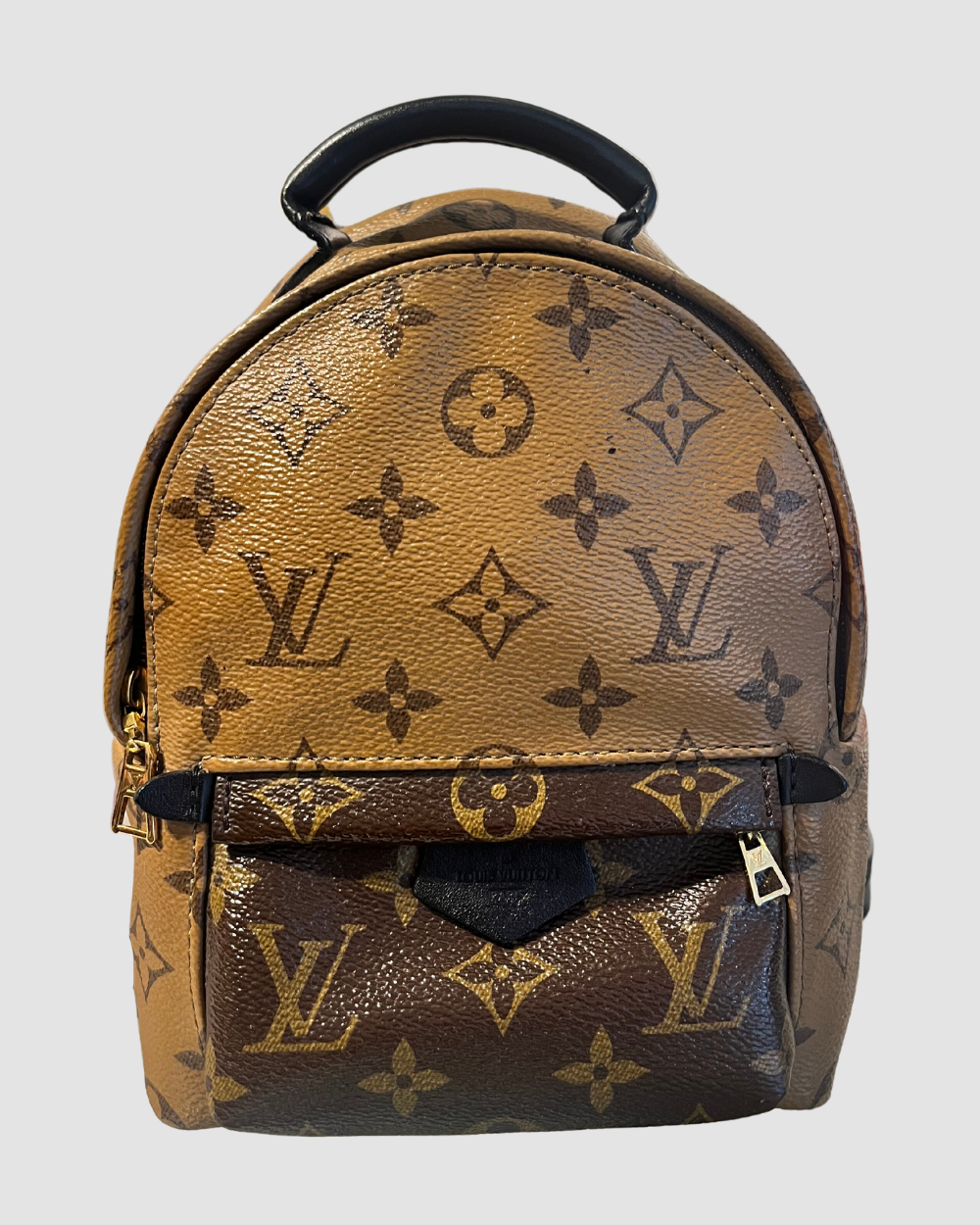 Louis Vuitton Palm Springs Mini Reverse Monogram