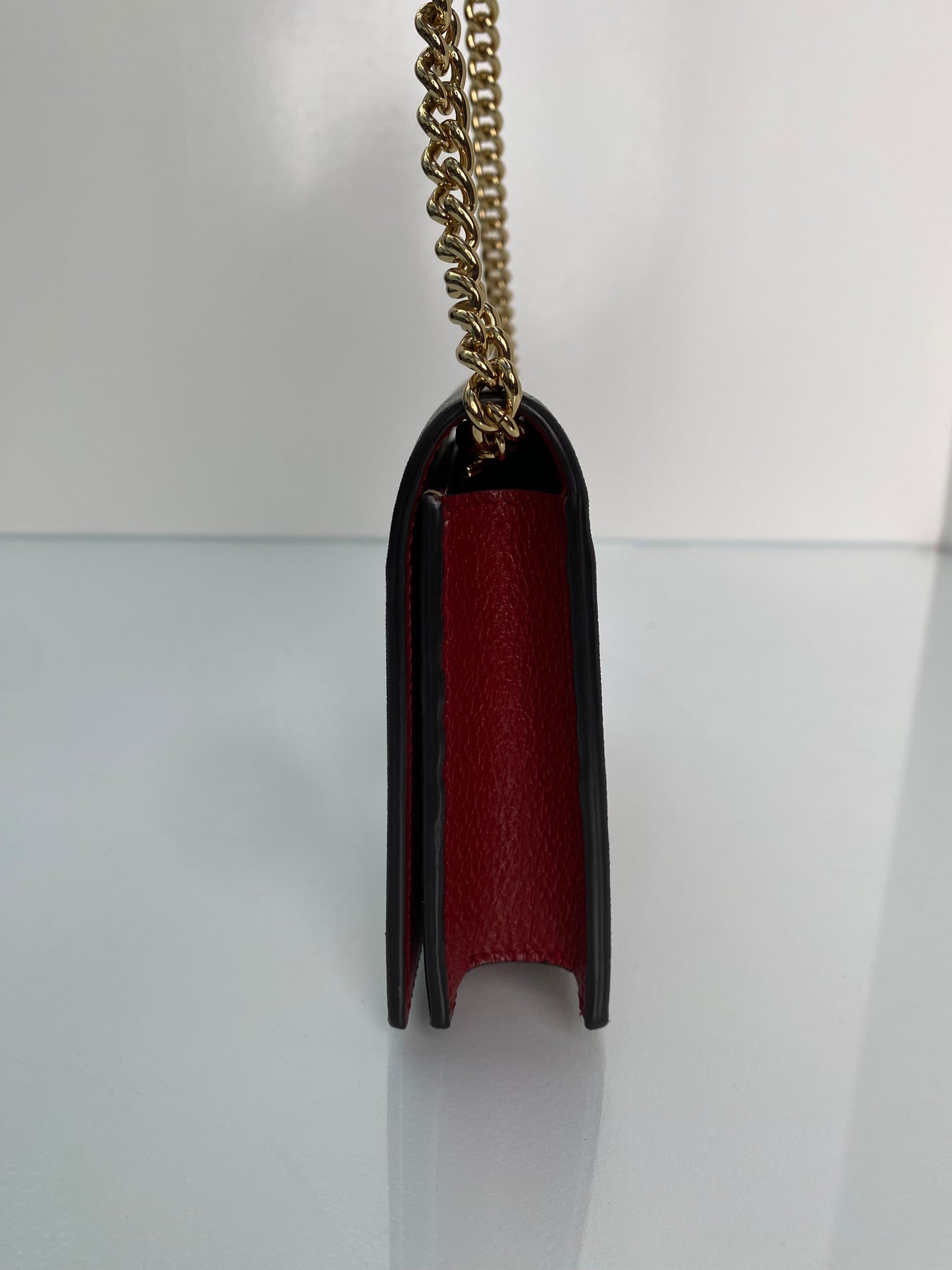 Gucci Tian GG Wallet On The Chain Bag GHW