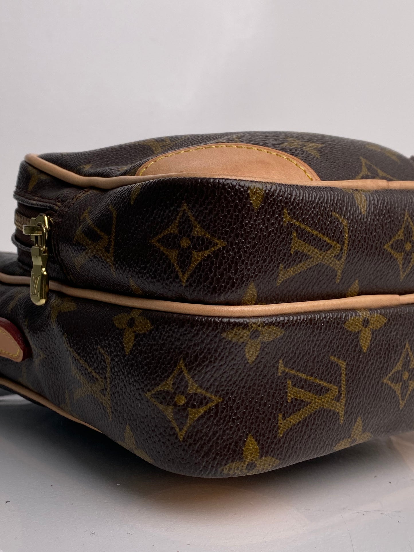 Louis Vuitton Monogram Amazon Crossbody