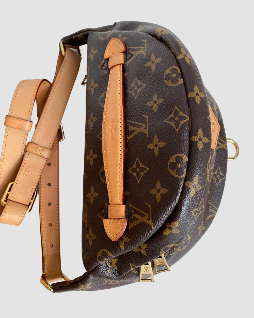 Louis Vuitton Monogram Bum Bag