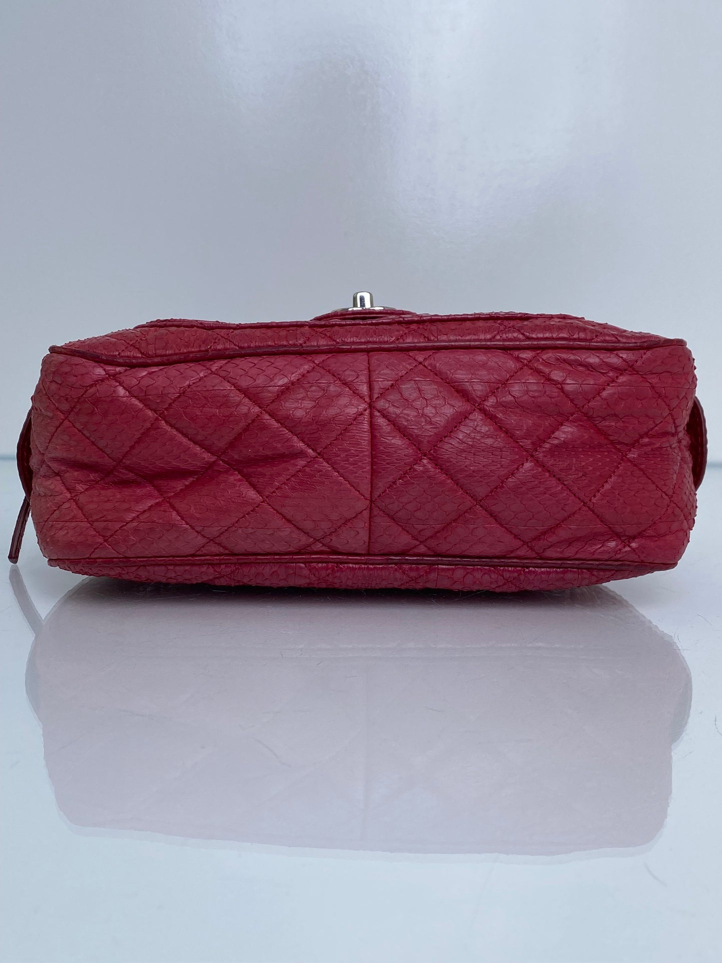 Chanel Pink Exotic Shoulder Bag SHW