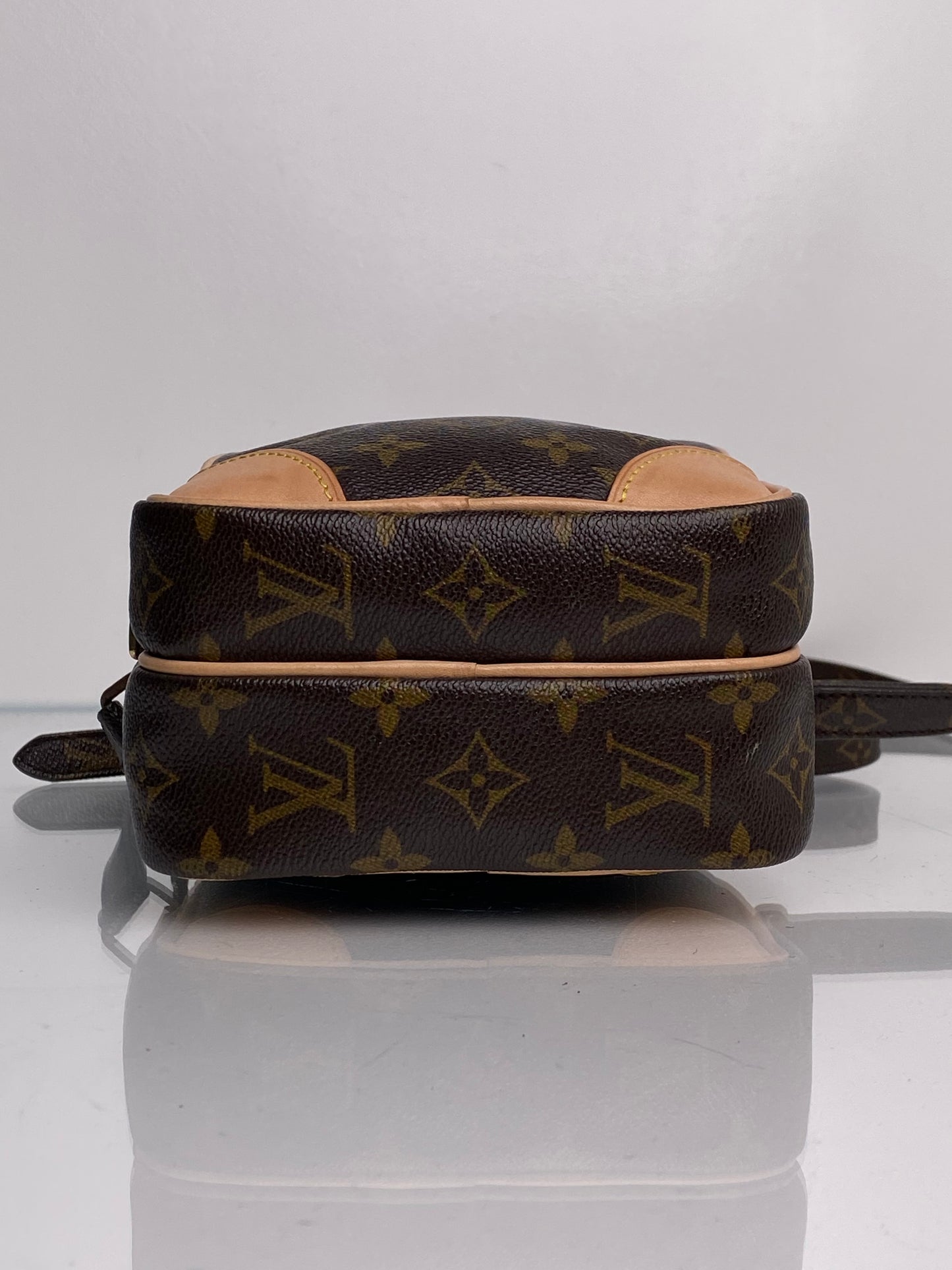 Louis Vuitton Monogram Amazon Crossbody