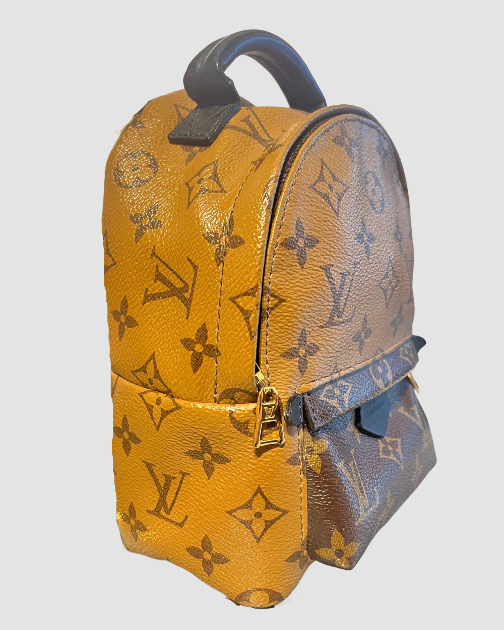 Louis Vuitton Palm Springs Mini Reverse Monogram