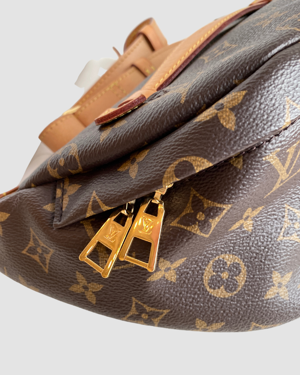 Louis Vuitton Monogram Bum Bag