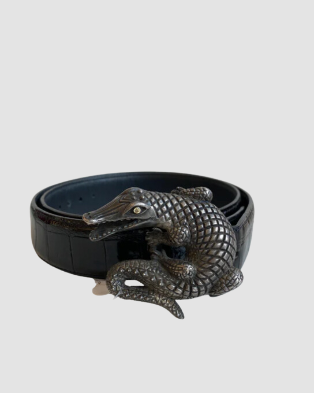 Crocodile Black Belt