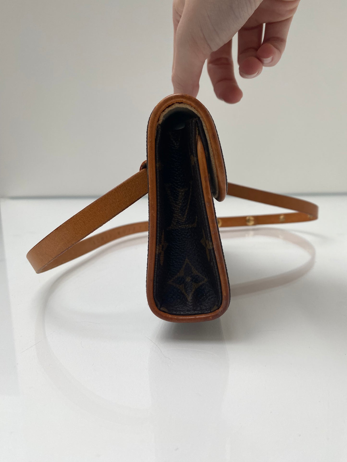 Louis Vuitton Monogram Florentine Waist Bag, XS