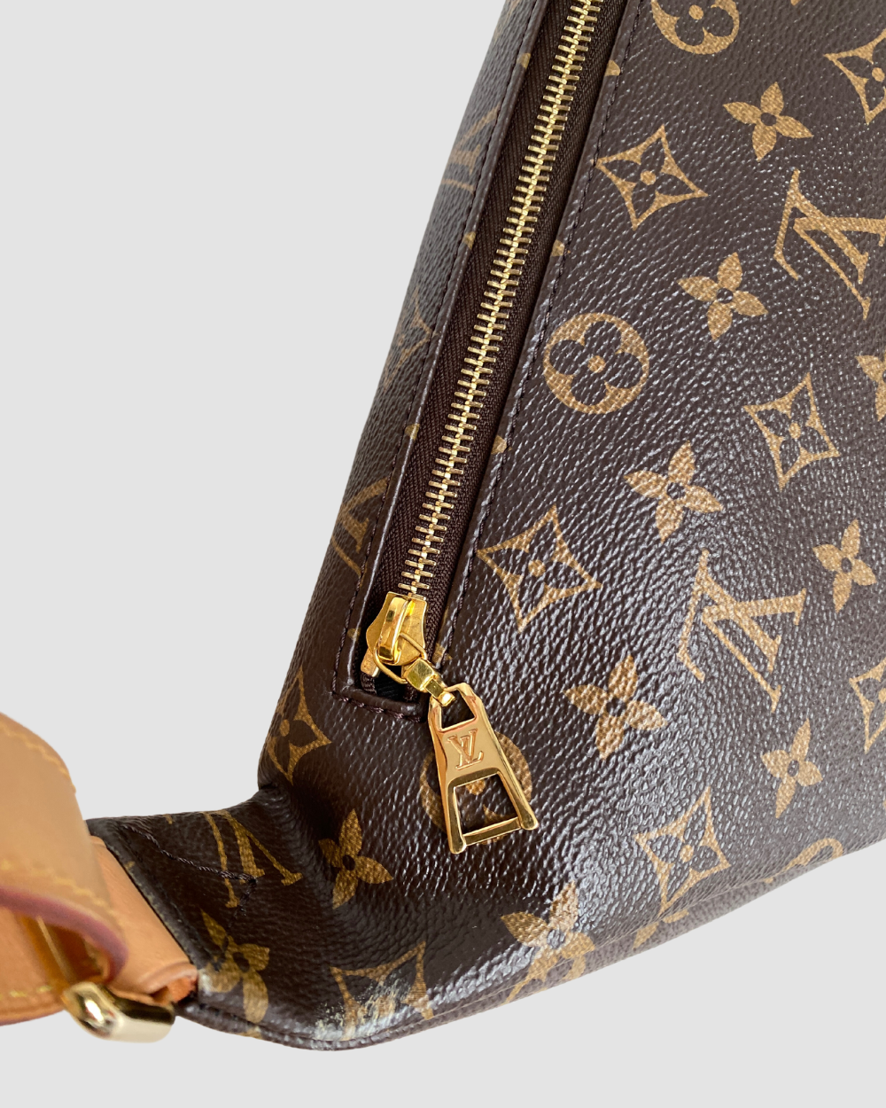 Louis Vuitton Monogram Bum Bag