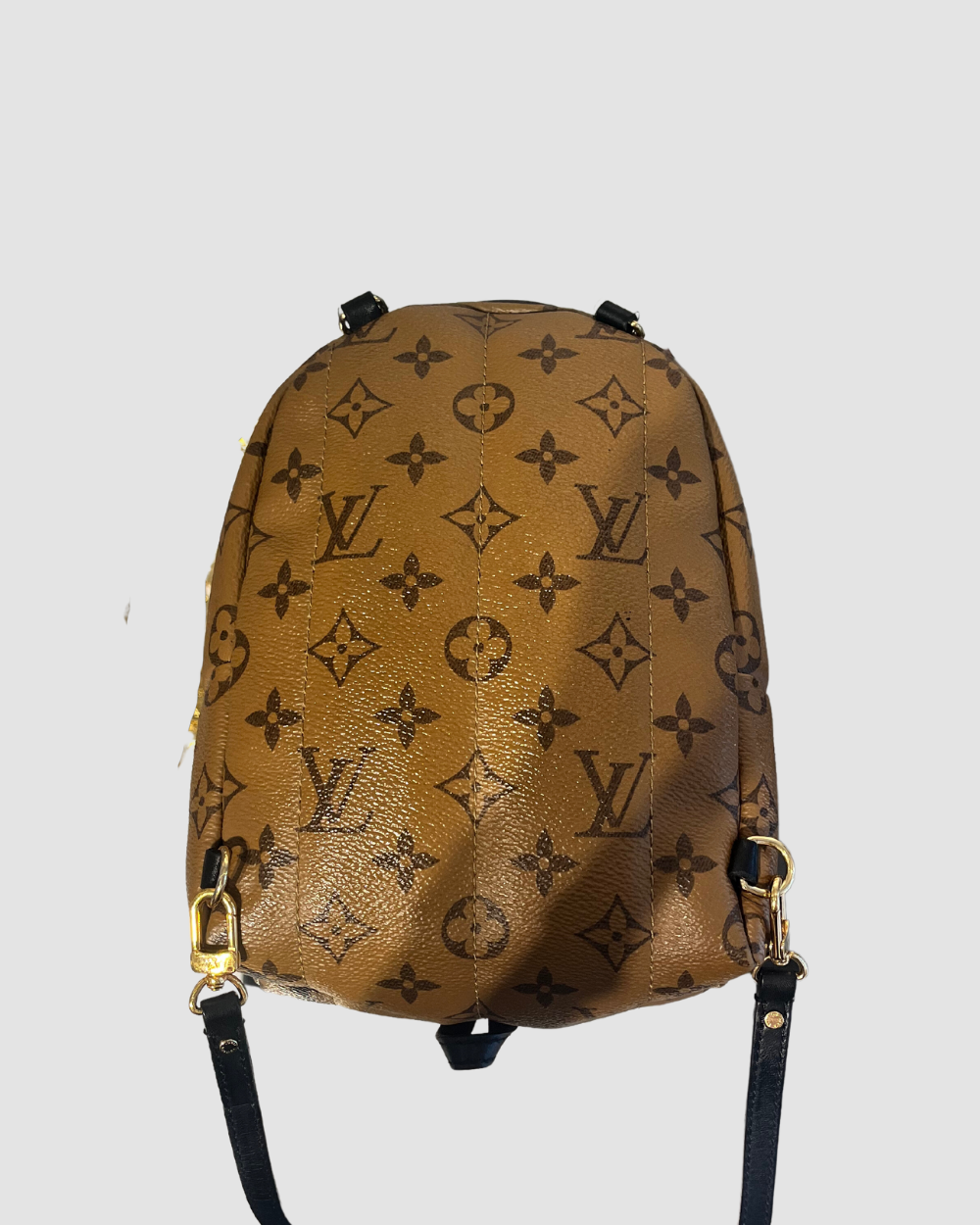 Louis Vuitton Palm Springs Mini Reverse Monogram