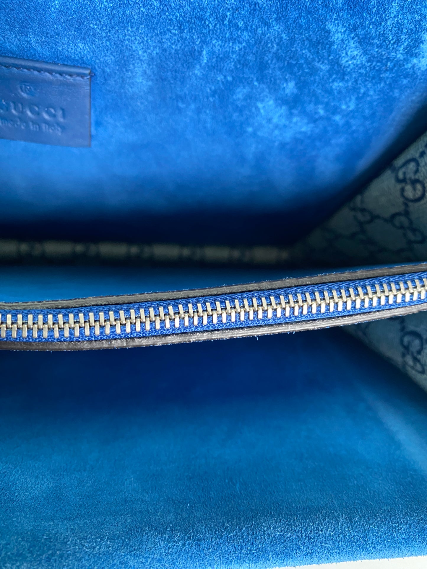 Gucci Blue Floral Supreme Dionysus Bag SHW