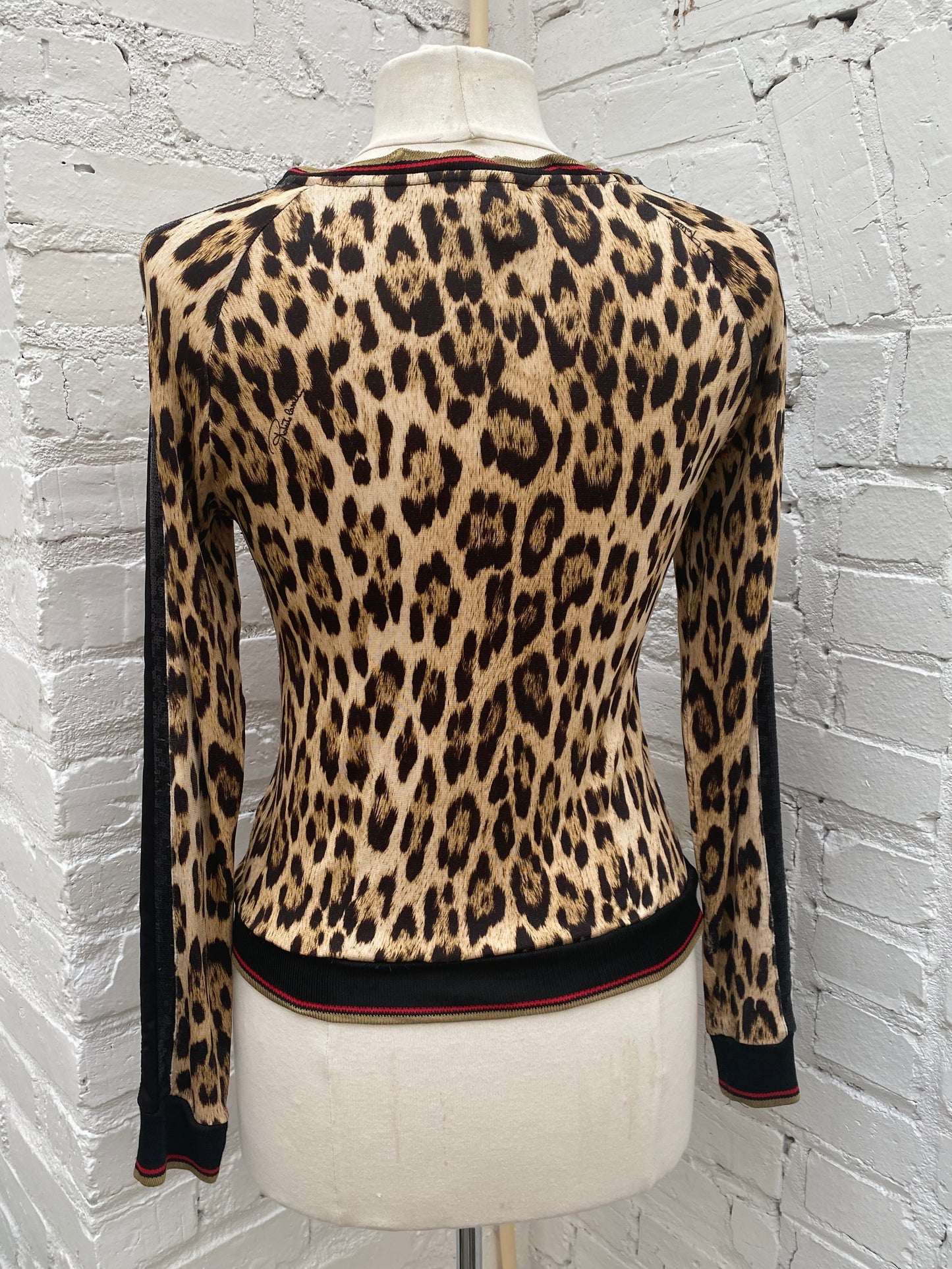 Roberto Cavalli Gym Cheetah Sequin Long Sleeve Top, 38