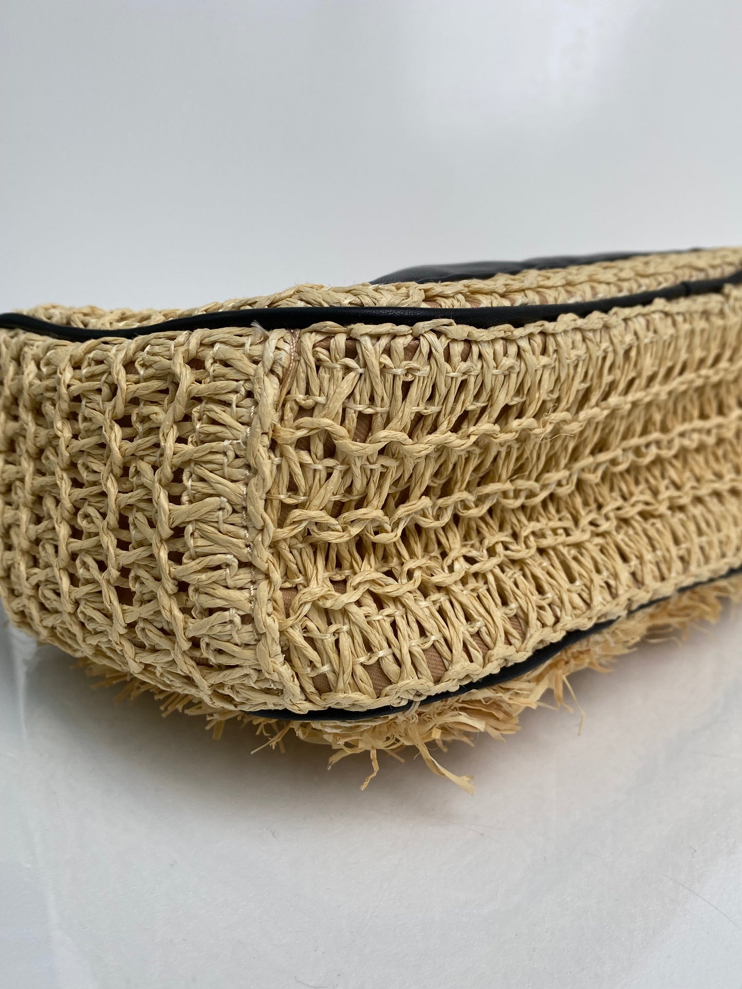 Jason Wu Sylvia Raffia Crossbody Bag
