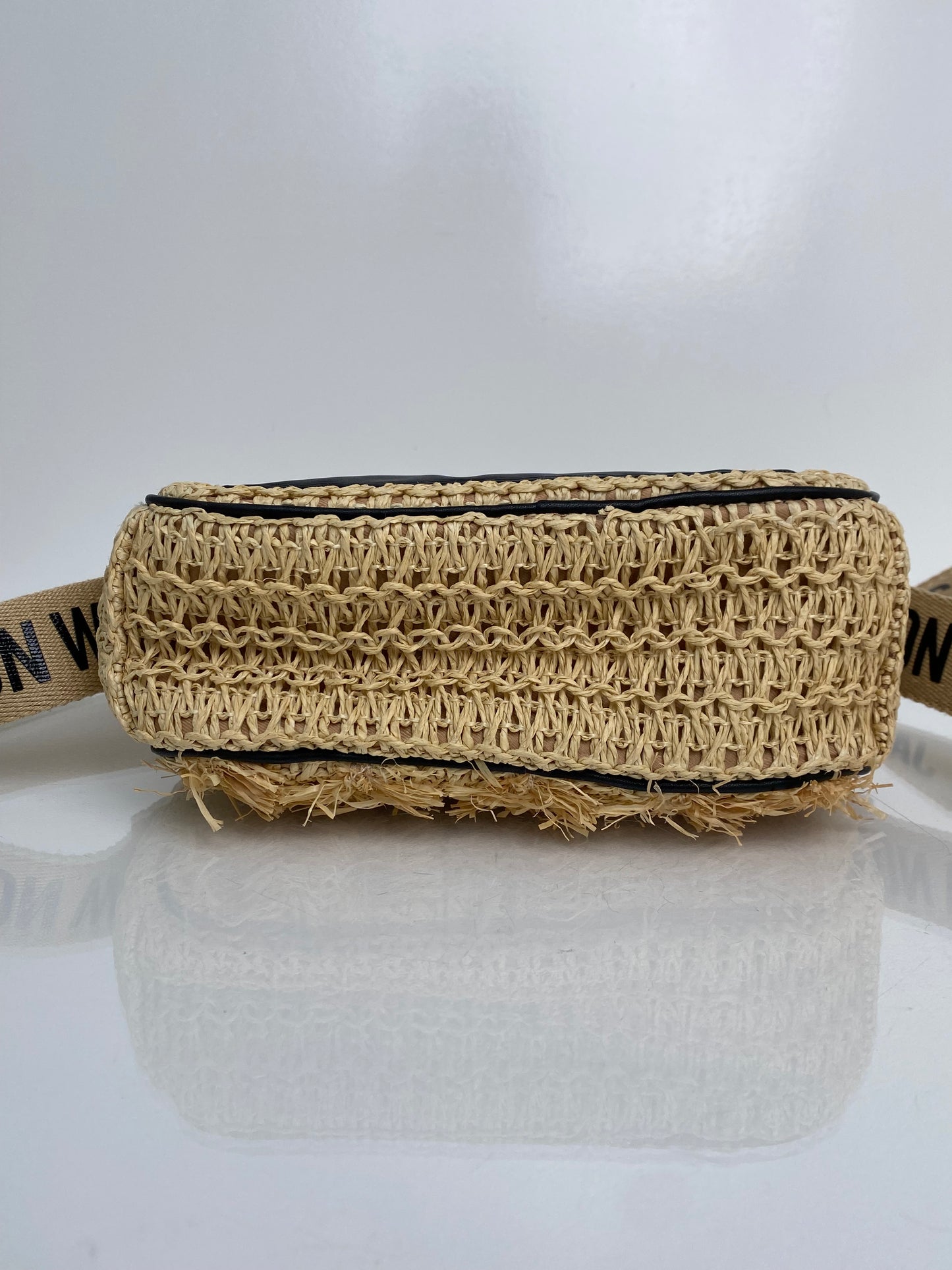 Jason Wu Sylvia Raffia Crossbody Bag