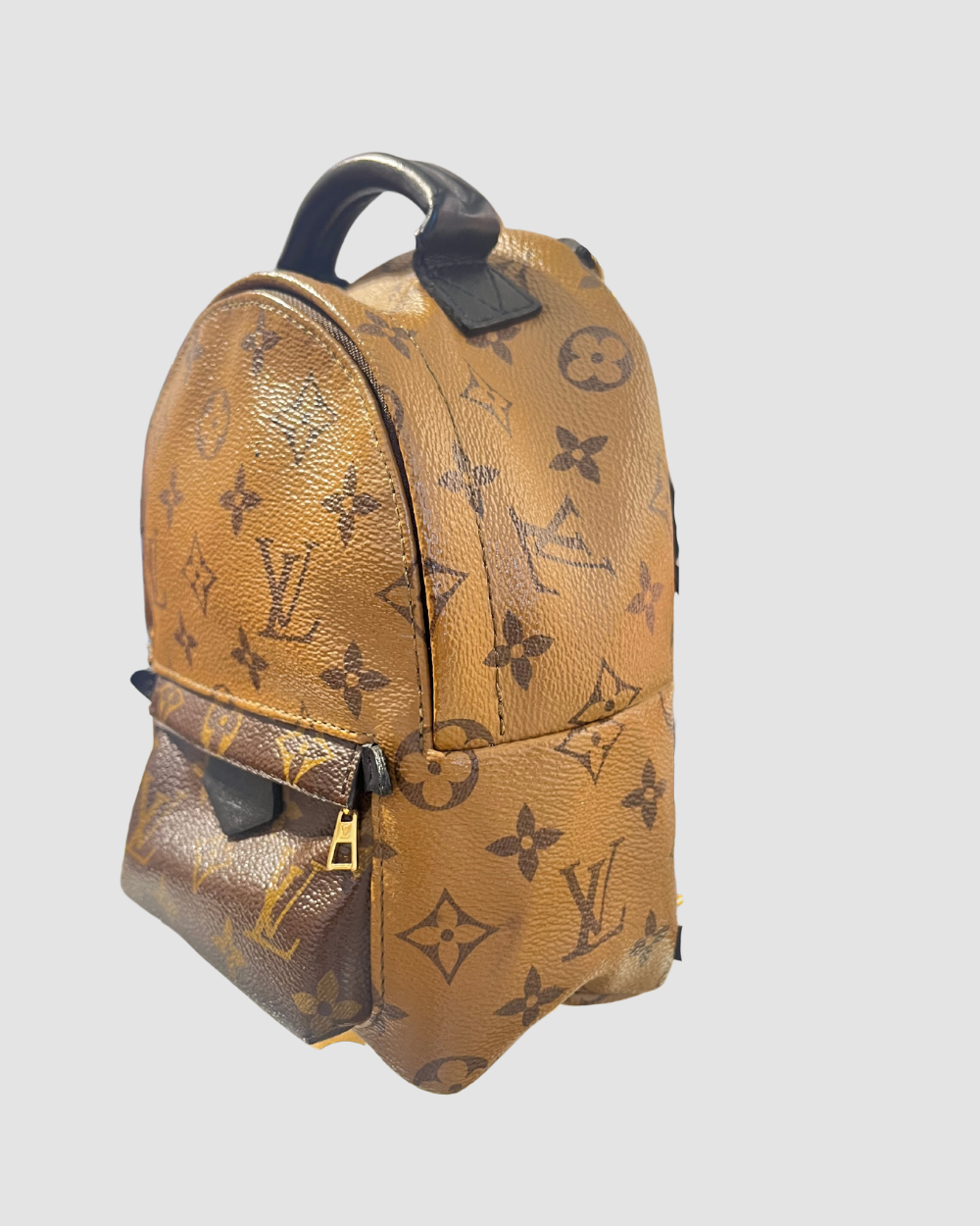 Louis Vuitton Palm Springs Mini Reverse Monogram