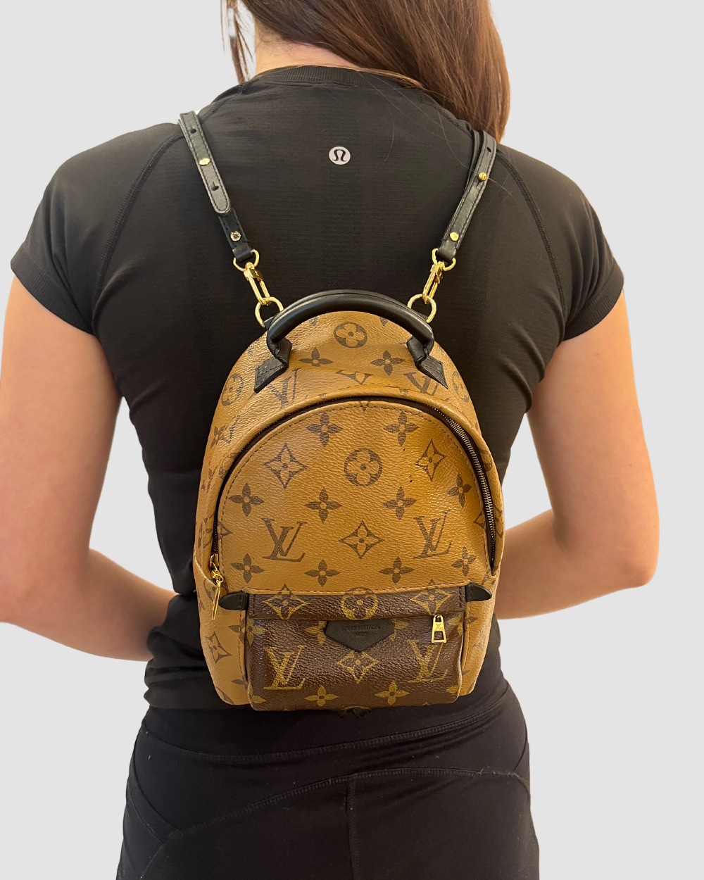 Louis Vuitton Palm Springs Mini Reverse Monogram