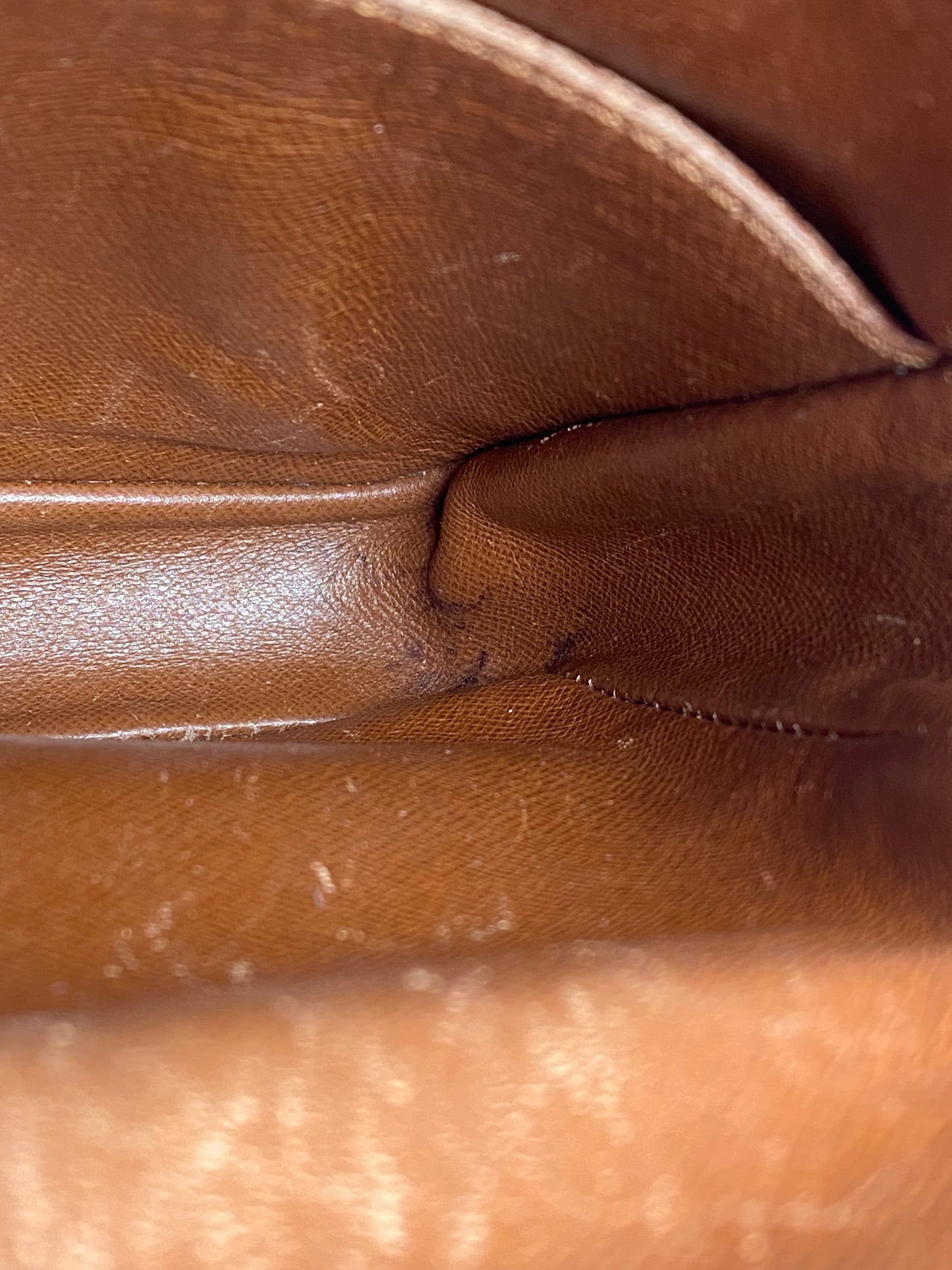 Louis Vuitton Monogram Amazon Crossbody