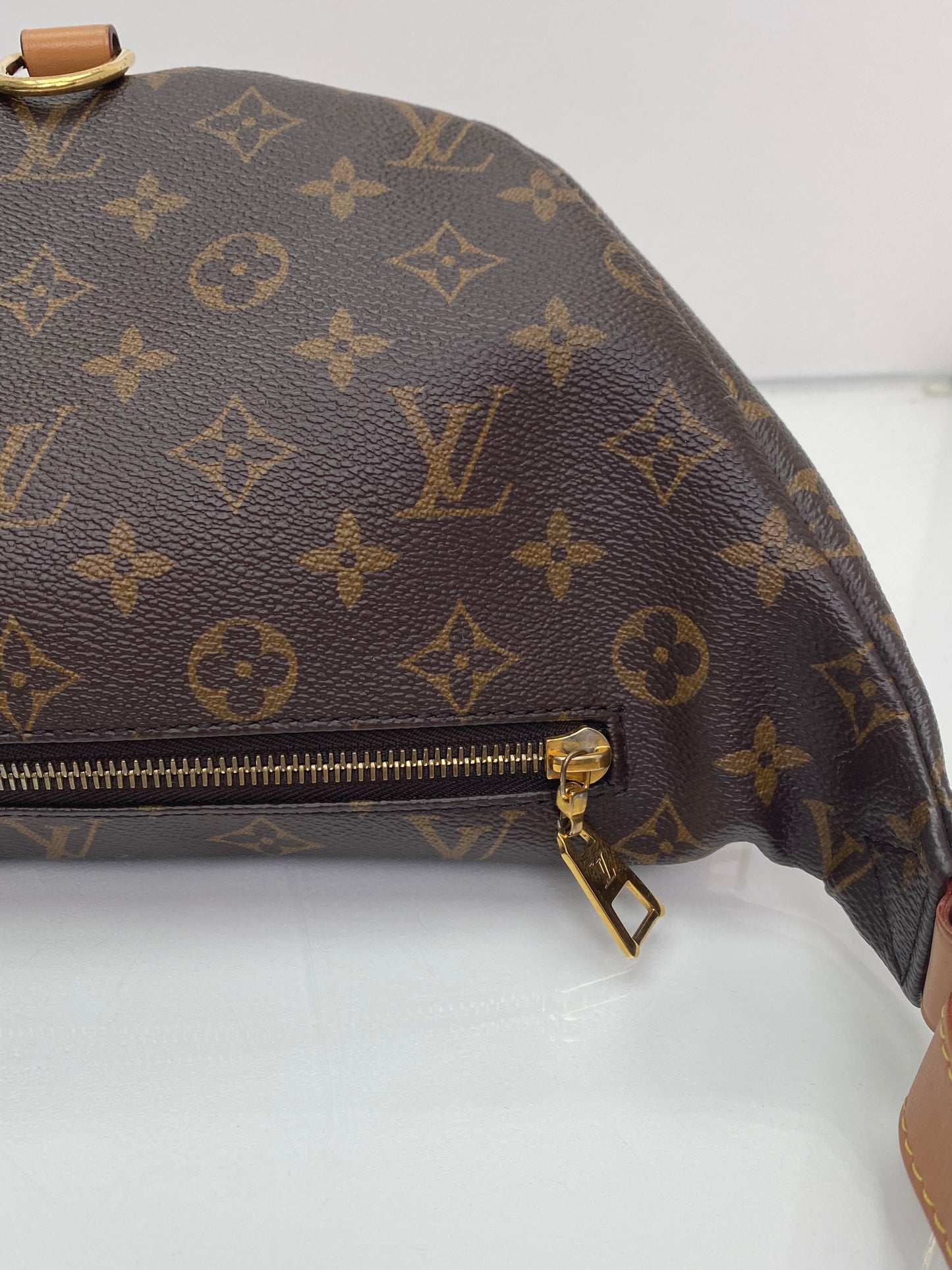 Louis Vuitton Monogram Bum Bag