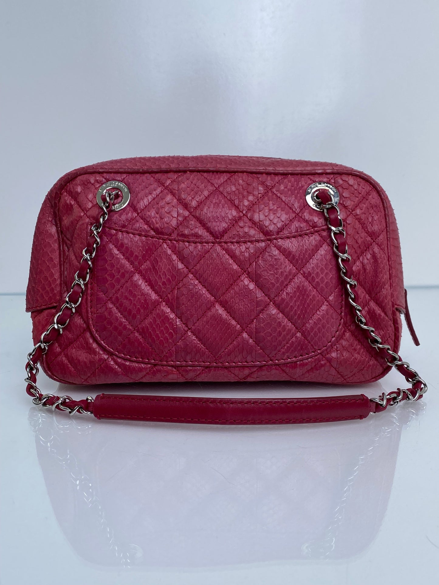 Chanel Pink Exotic Shoulder Bag SHW