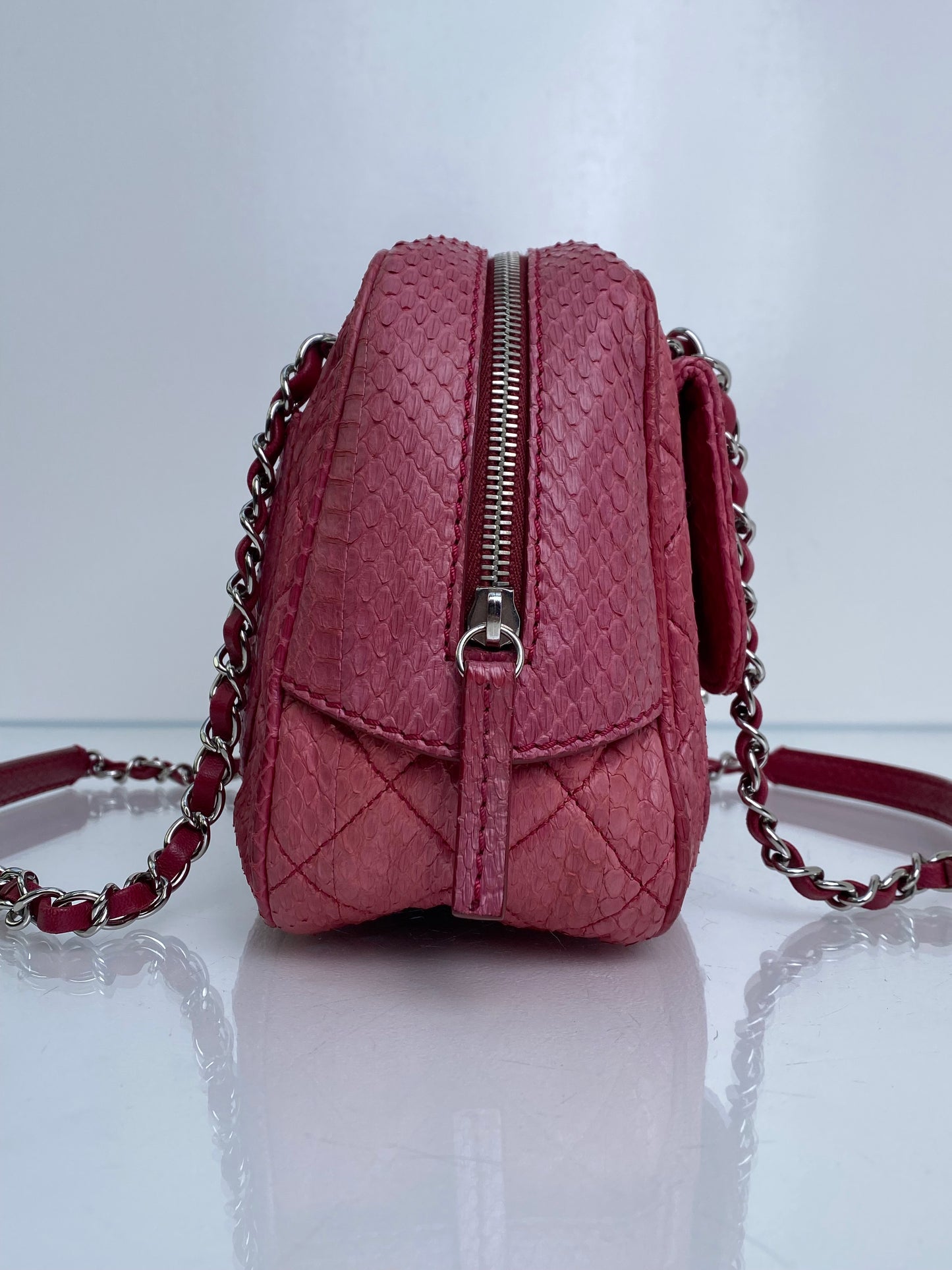 Chanel Pink Exotic Shoulder Bag SHW