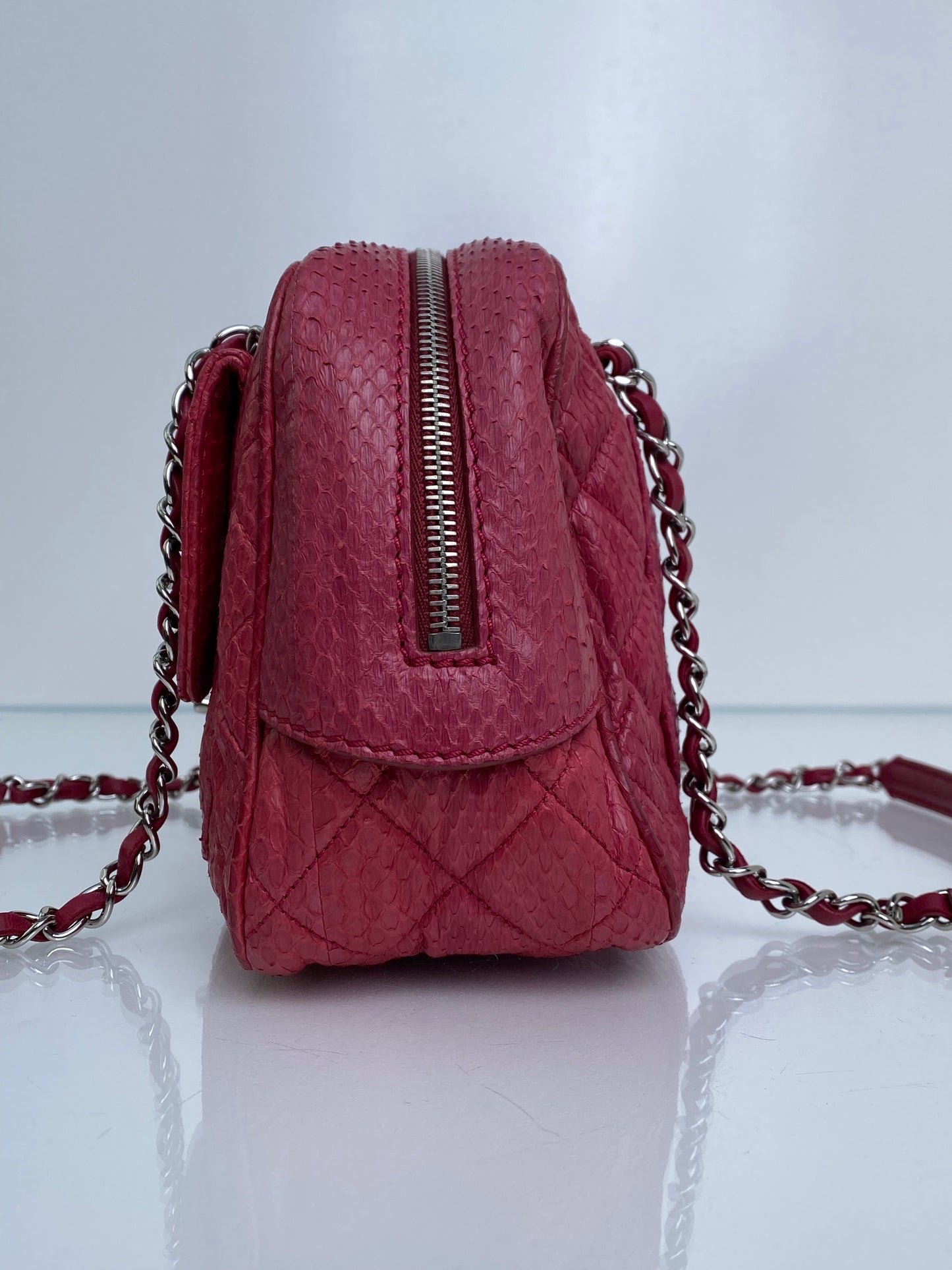 Chanel Pink Exotic Shoulder Bag SHW