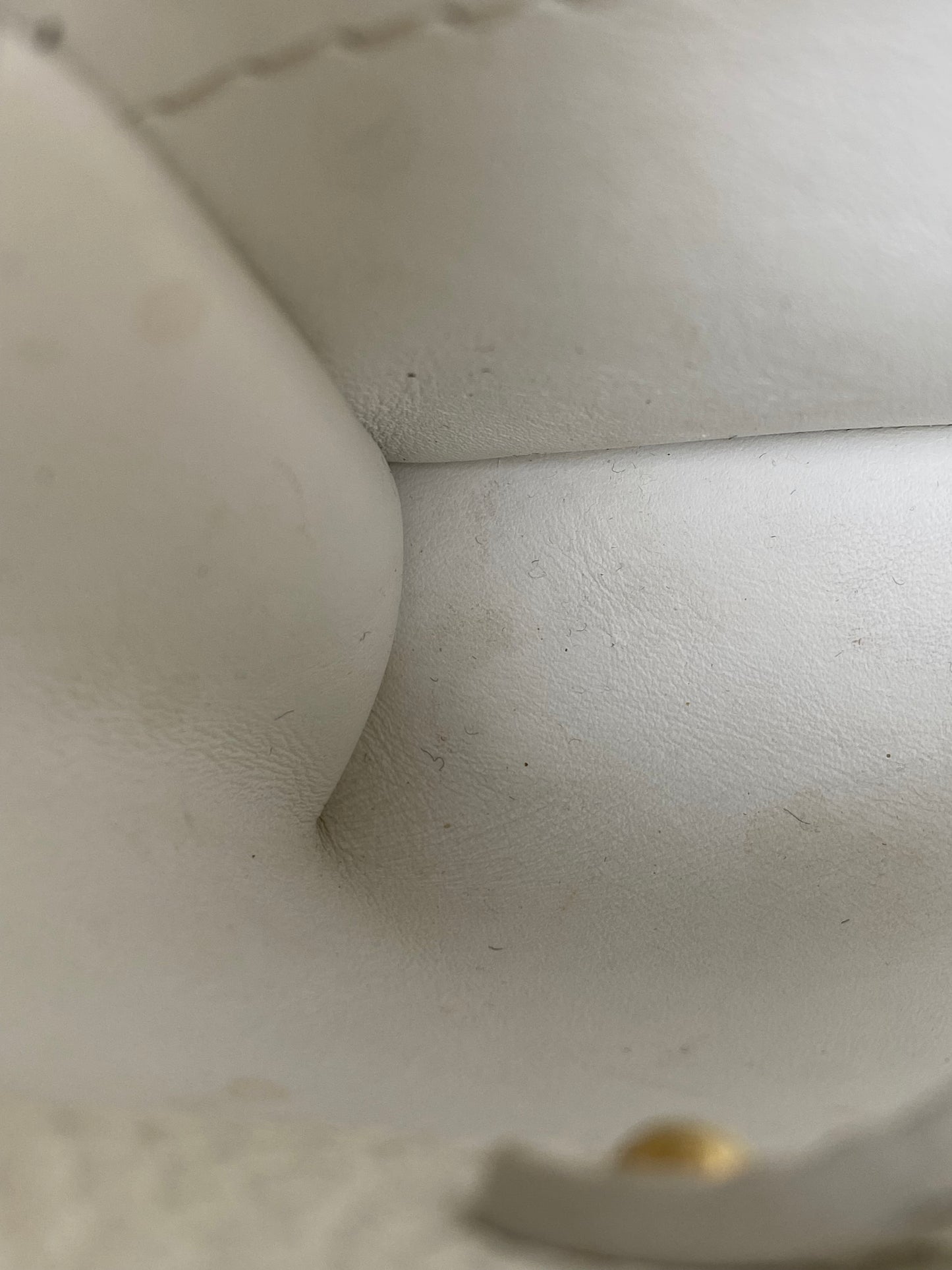 Louis Vuitton White / Snakeskin Capucine Bag GHW