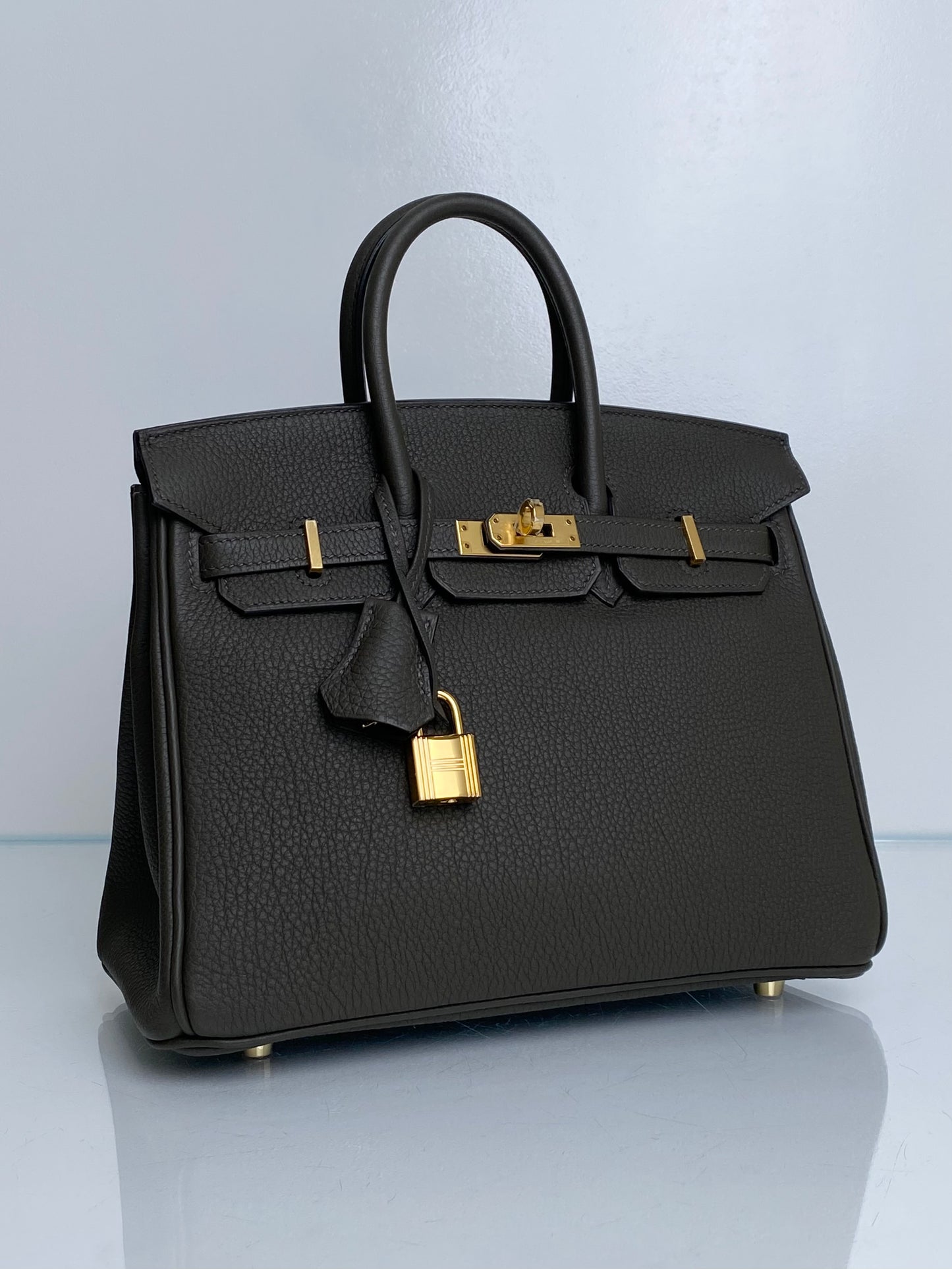 Hermes Birkin 25 Eucalyptus Togo GHW #K