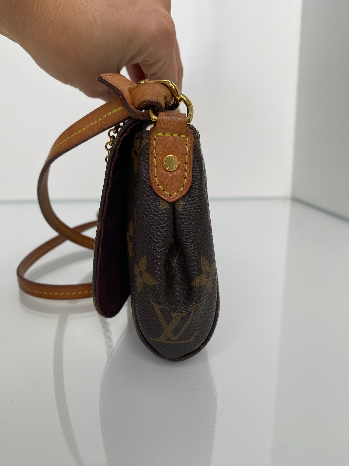 Louis Vuitton Monogram Favorite Bag PM