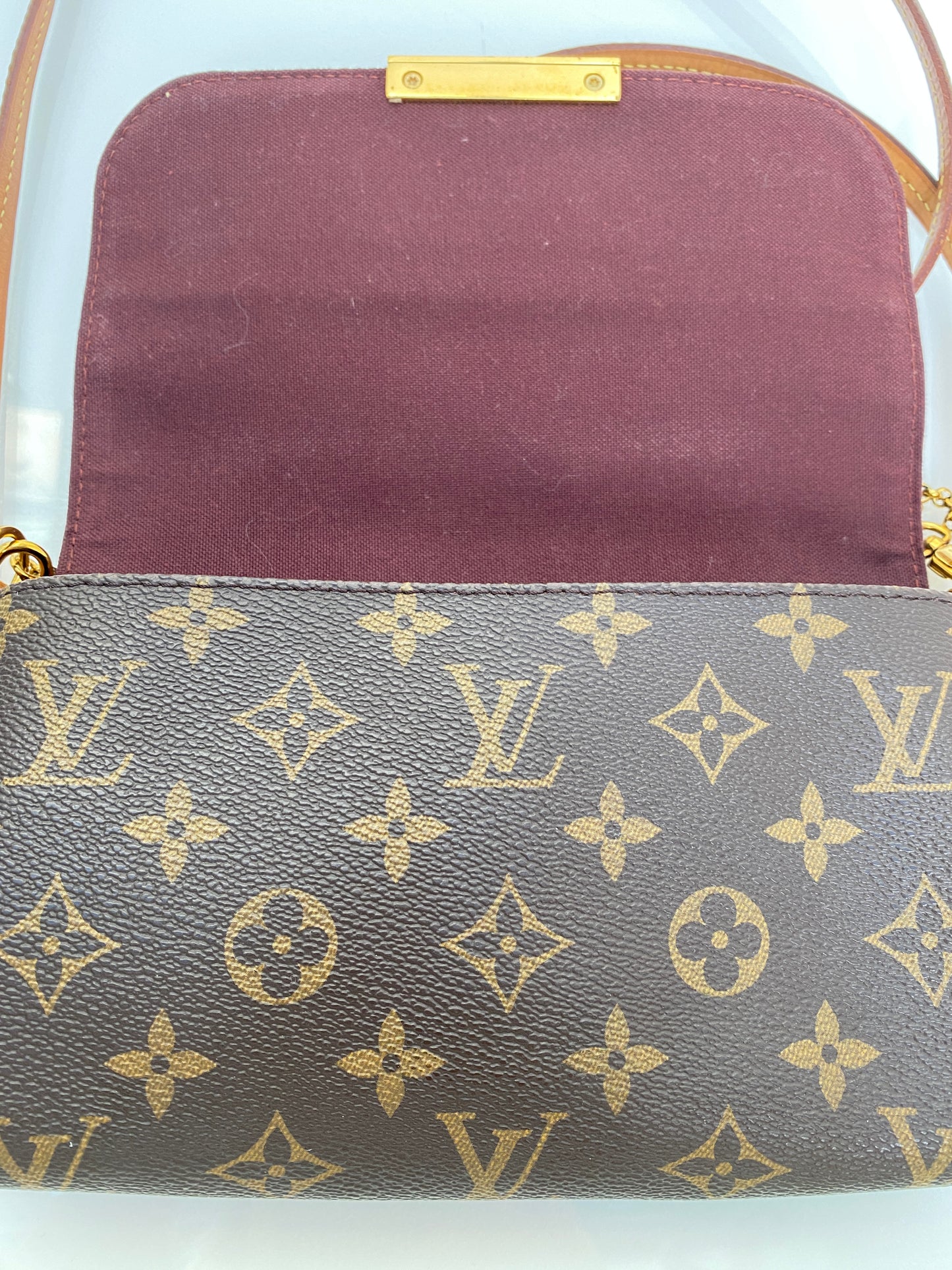 Louis Vuitton Monogram Favorite Bag PM