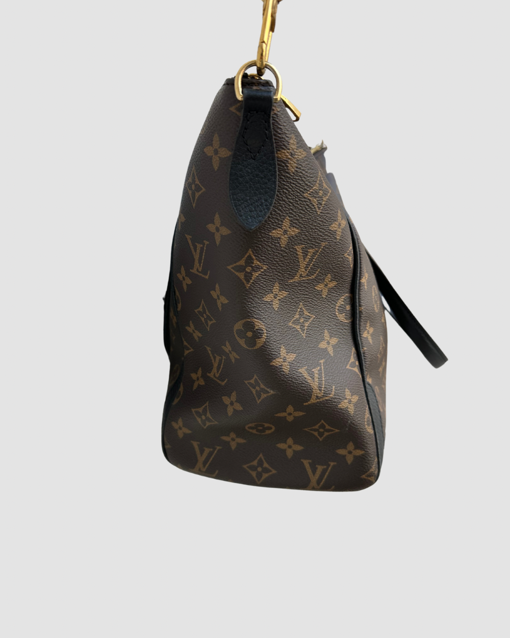 Louis Vuitton Estrela Monogram Bag