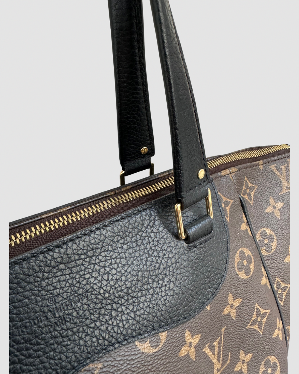 Louis Vuitton Estrela Monogram Bag