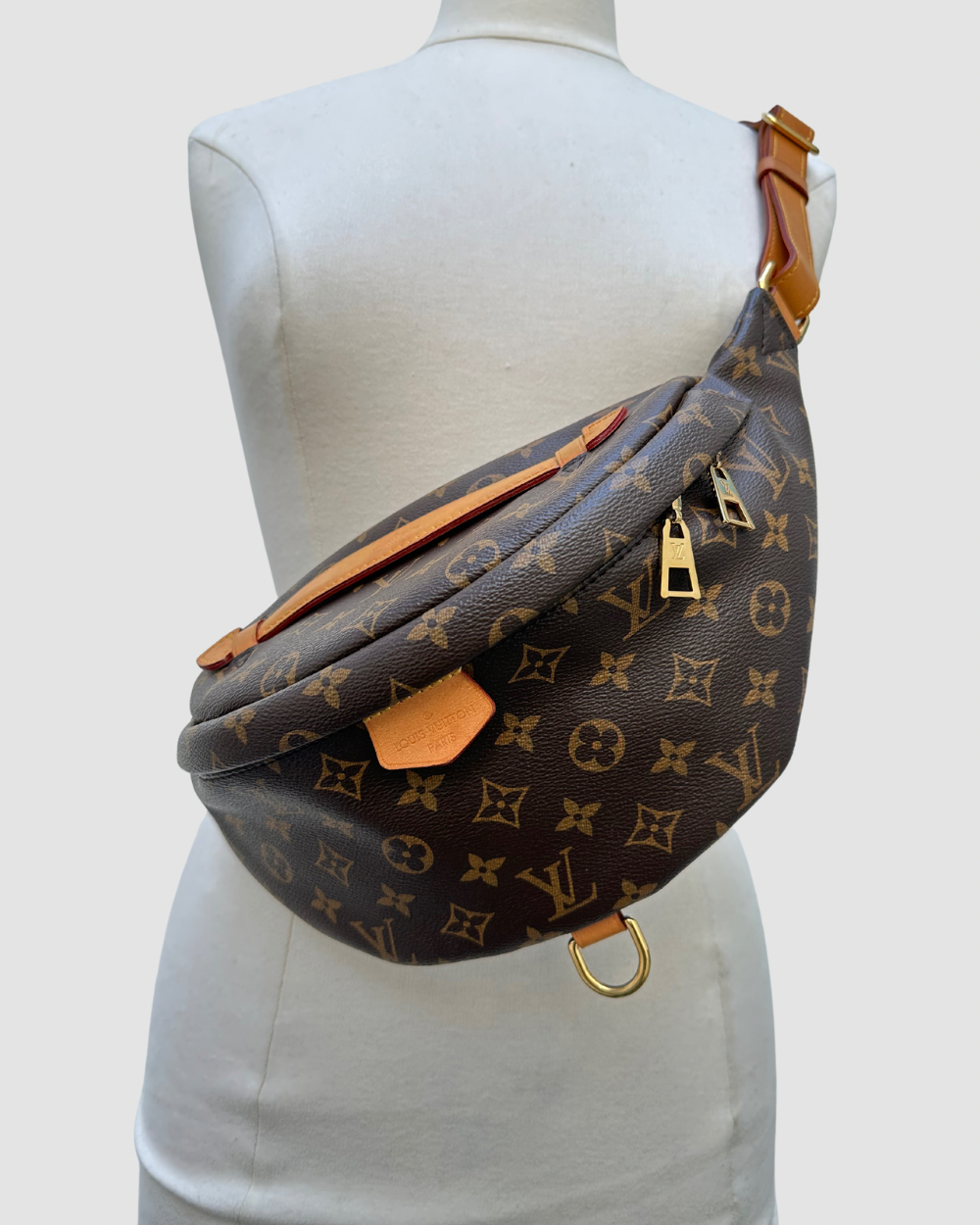 Louis Vuitton Monogram Bum Bag