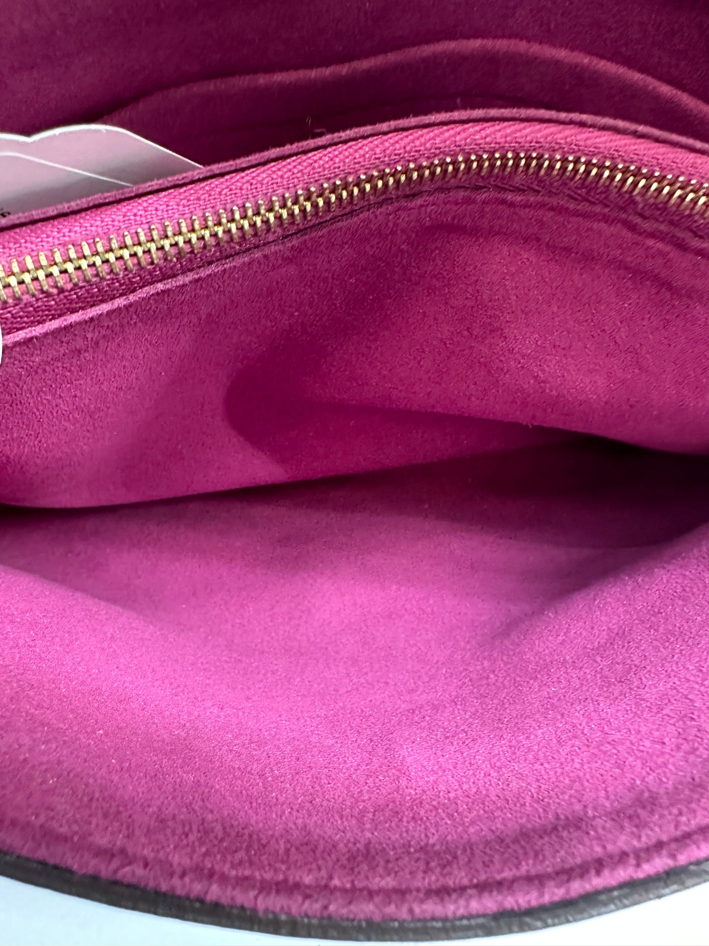 Louis Vuitton Monogram & Purple Pallas