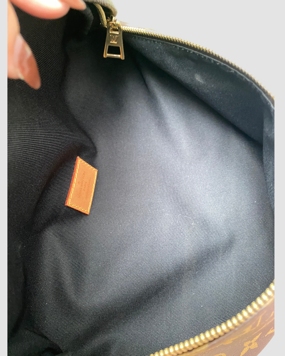 Louis Vuitton Monogram Bumbag