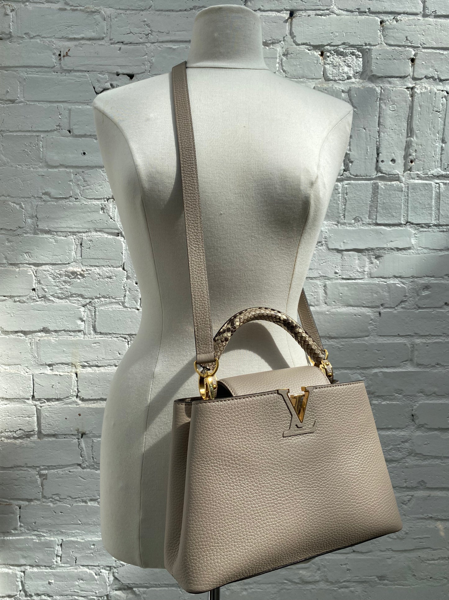 Louis Vuitton Leather Capucines Beige & Exotic Bag