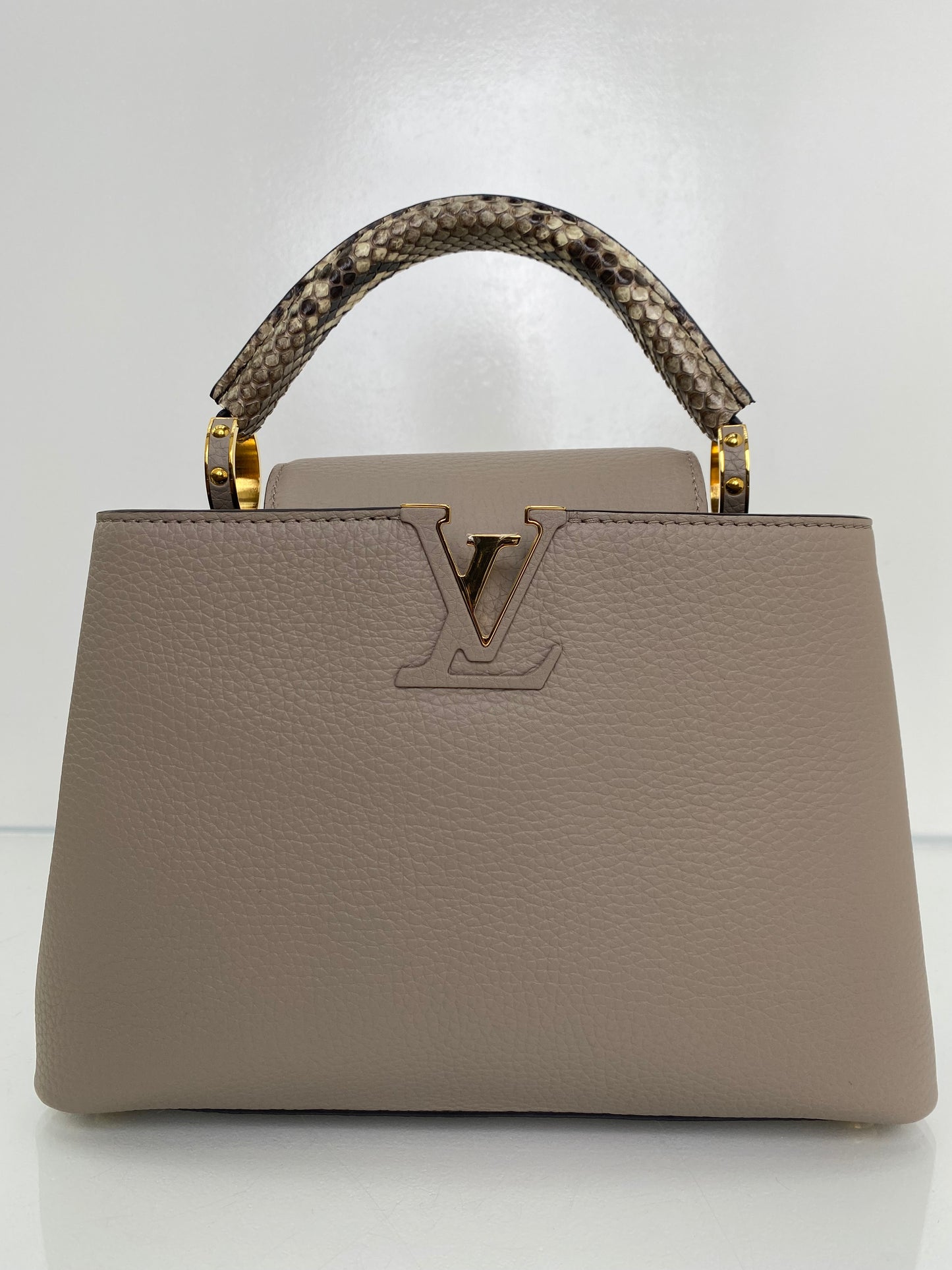 Louis Vuitton Leather Capucines Beige & Exotic Bag