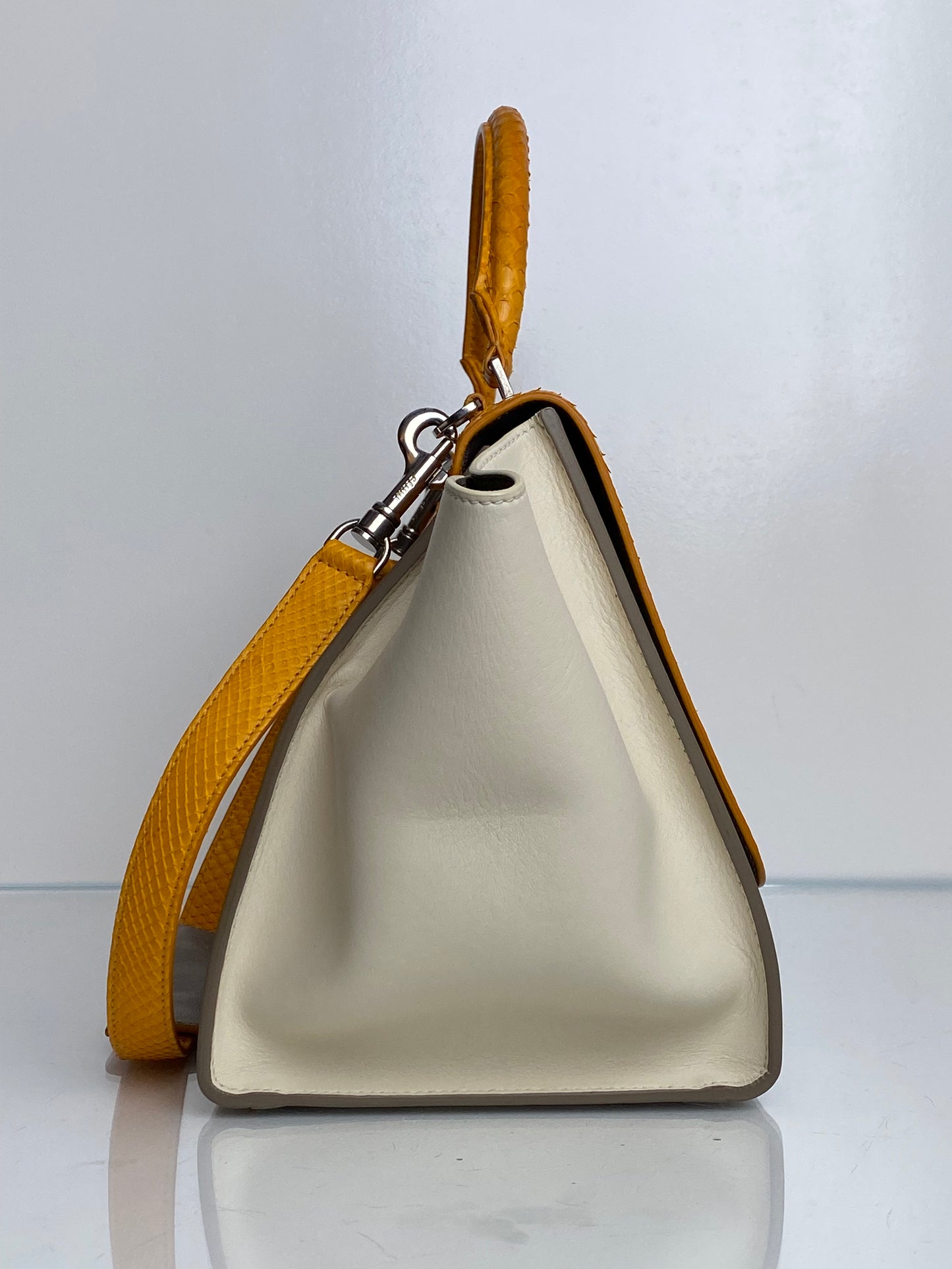 Celine Tricolor Leather & Python Trapeze Top Handle Bag