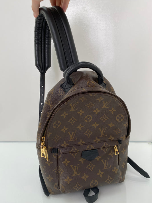 Louis Vuitton Monogram Palm Springs PM Backpack Bag GHW