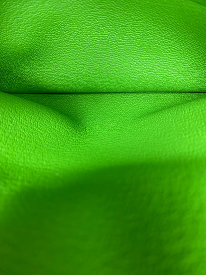 Hermes Birkin 25 Vert Yucca Togo GHW #B