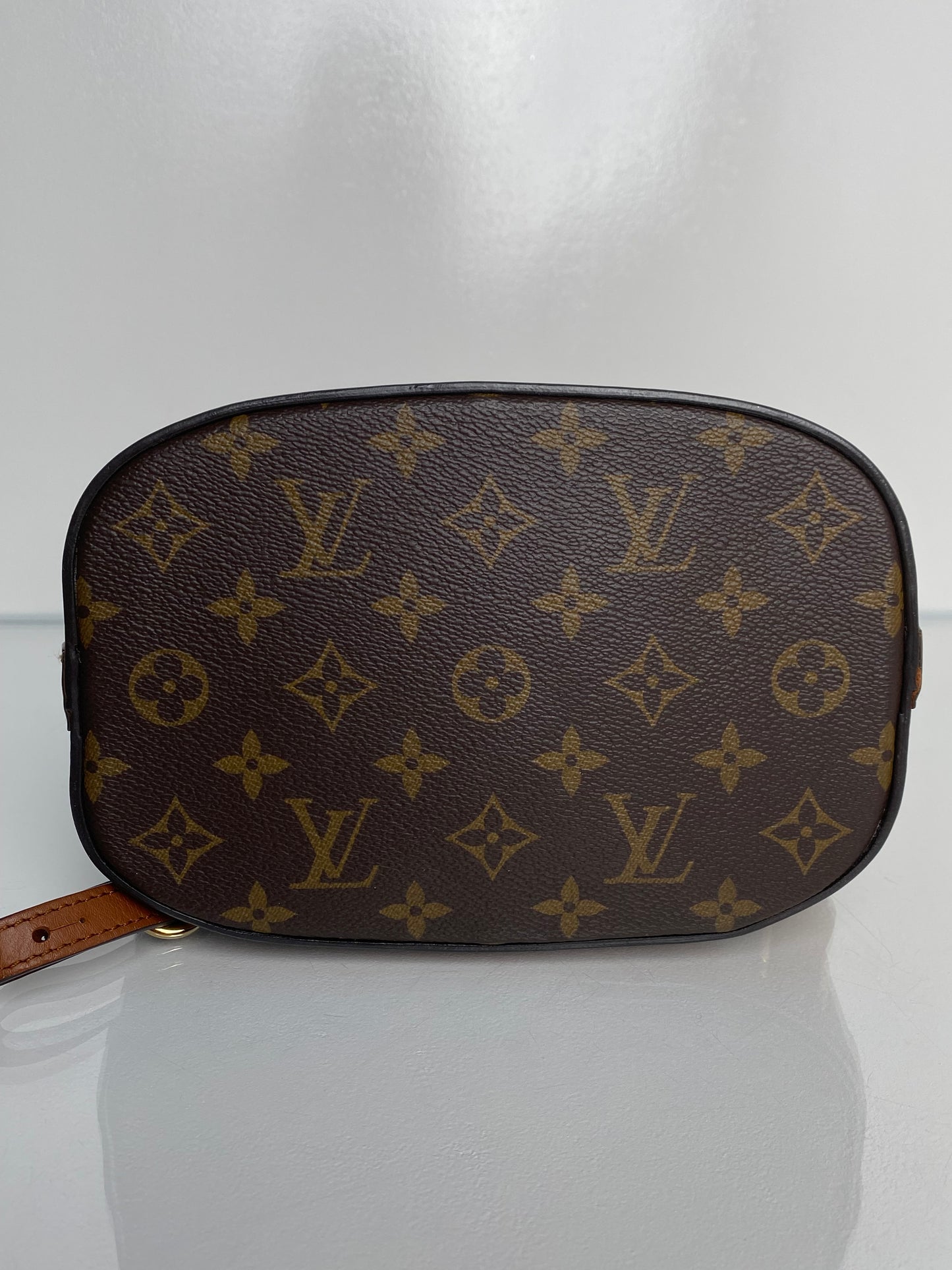 Louis Vuitton Dauphine Monogram PM Backpack GHW