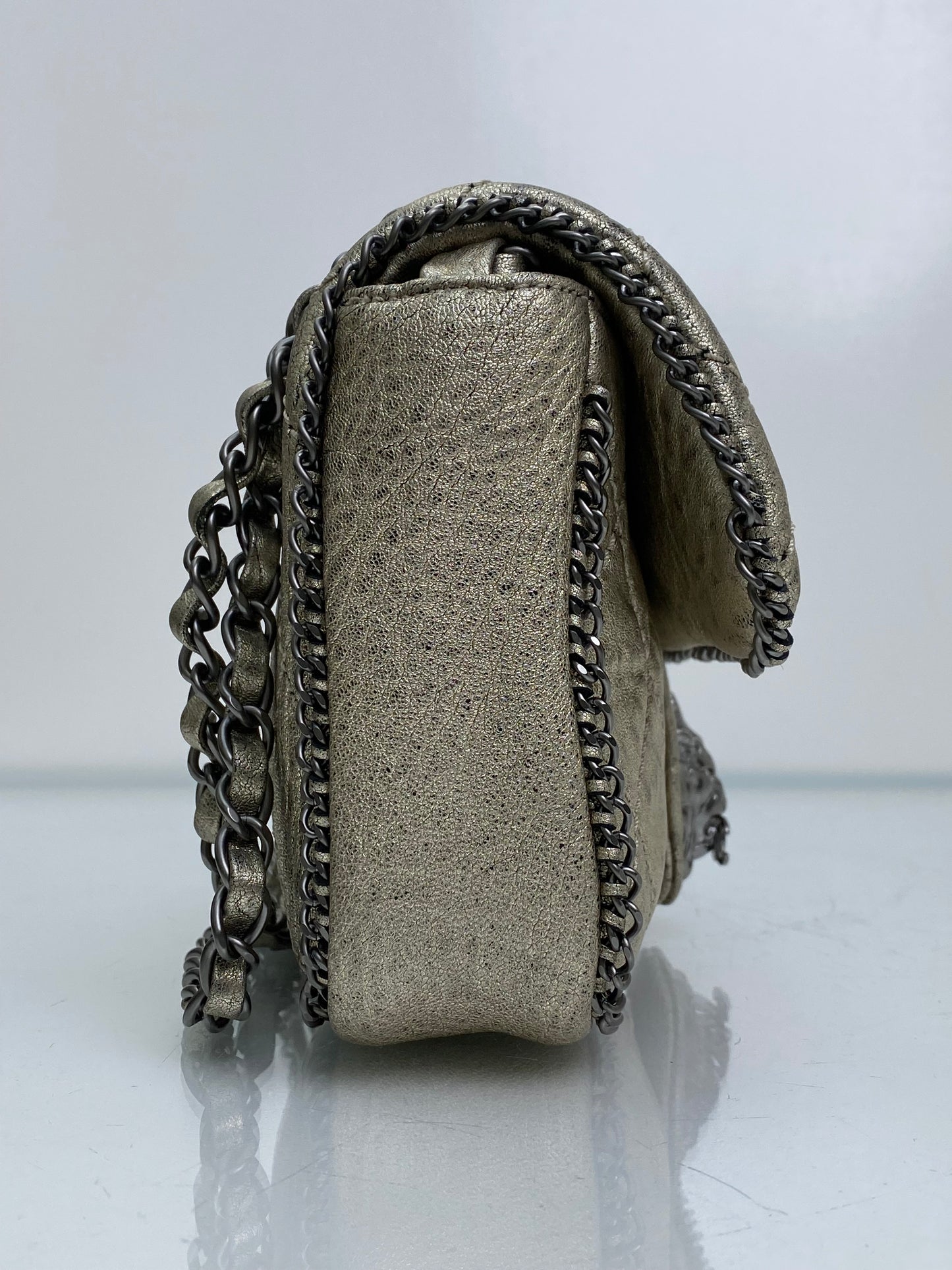 Chanel Champagne Leo Lion Flap Bag SHW #11