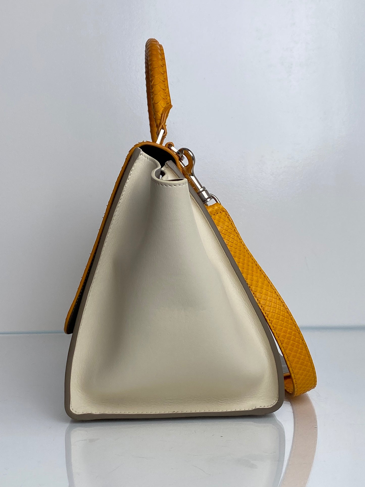 Celine Tricolor Leather & Python Trapeze Top Handle Bag