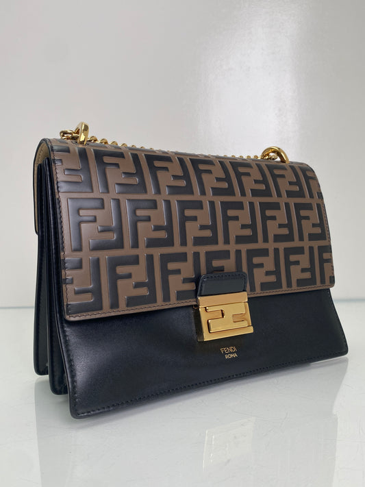 Fendi Brown & Black FF Kan U Bag GHW