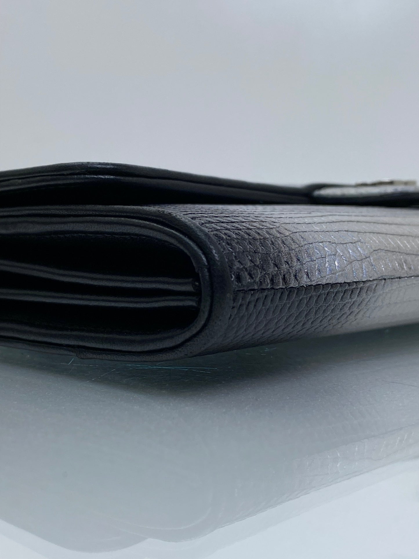 Chanel Iridescent Ombre Lizard Wallet On Chain SHW #22