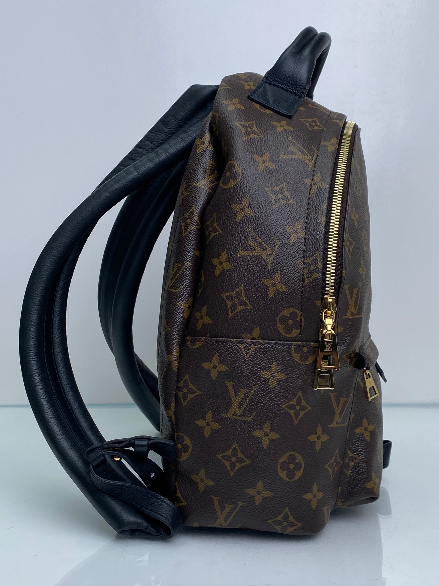 Louis Vuitton Palm Springs Canvas Monogram Backpack PM GHW