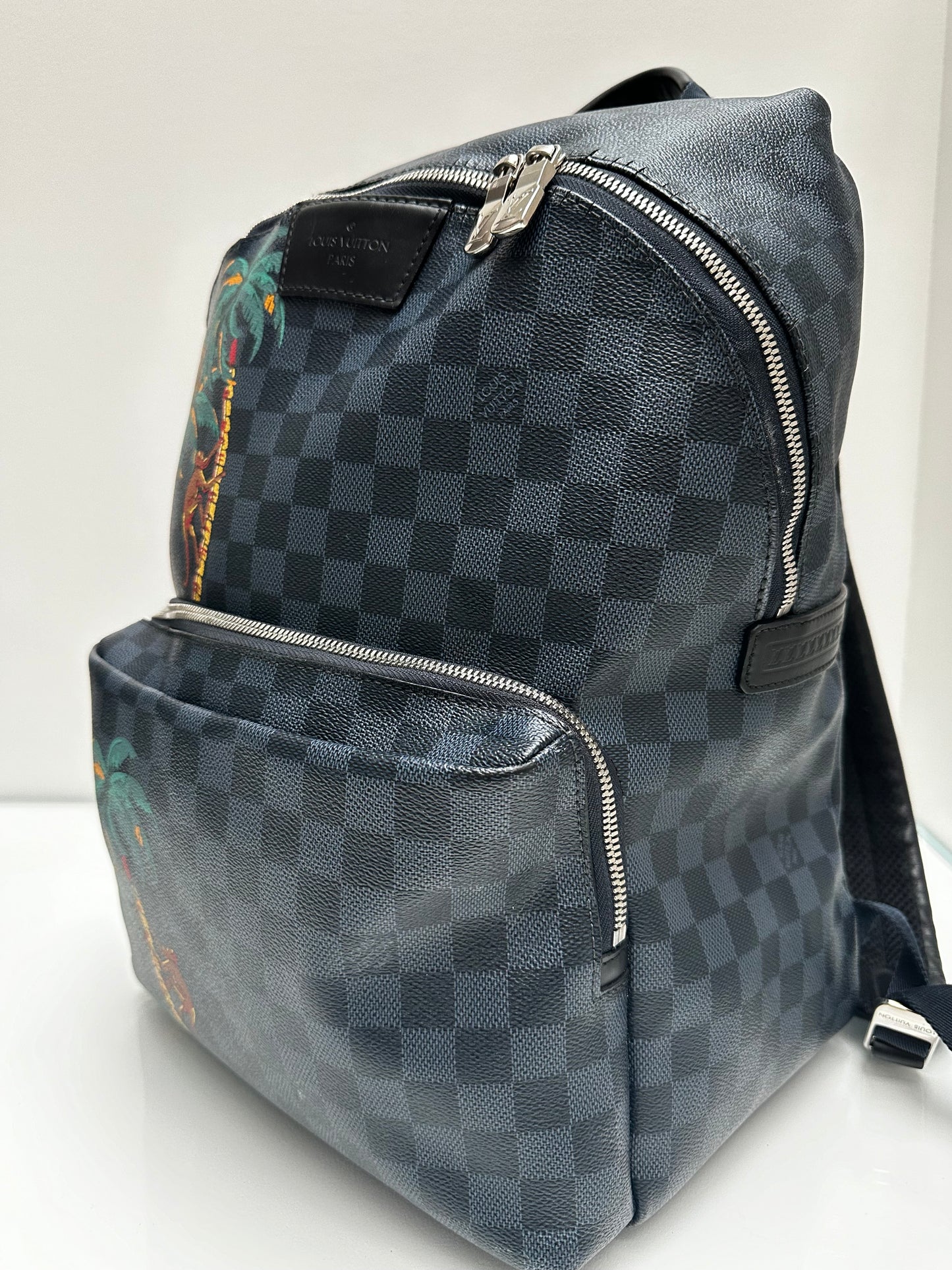 Louis Vuitton Damier Graphite Jungle Backpack
