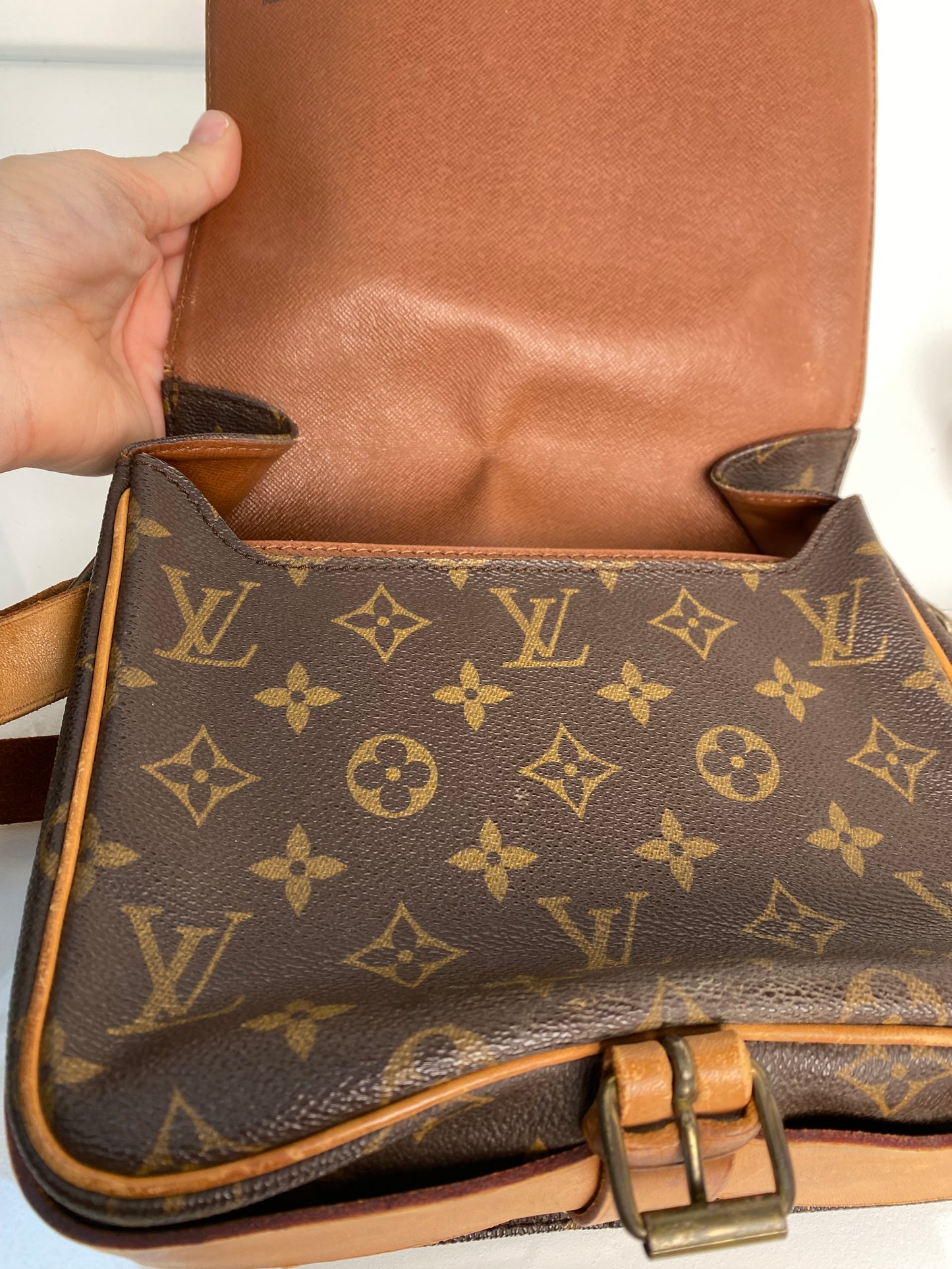 Louis Vuitton Monogram Cartoucherie Crossbody Bag