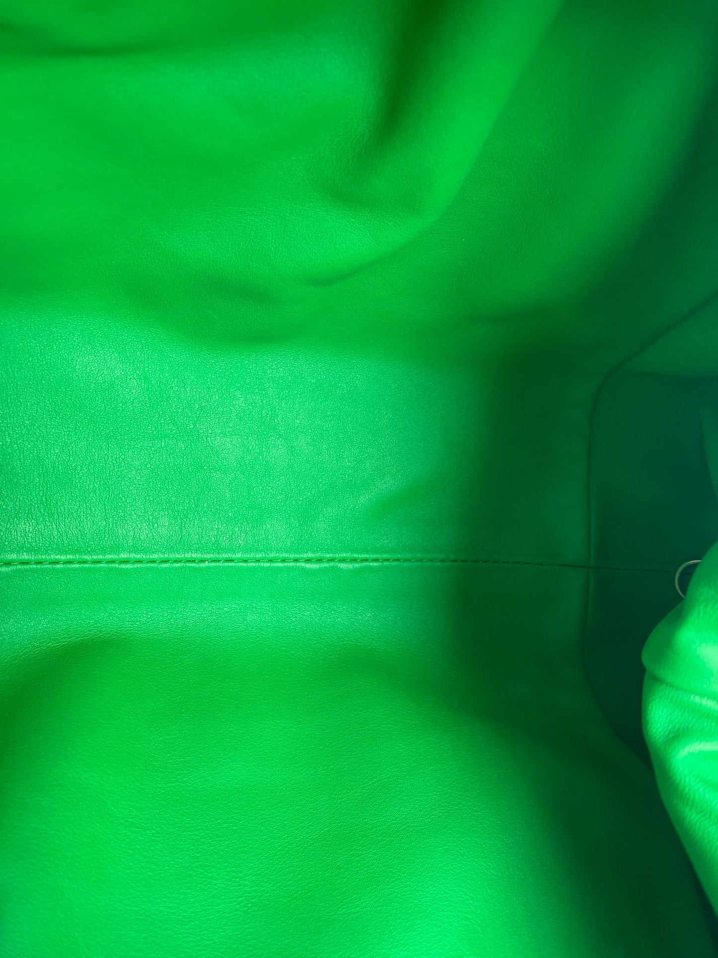 Bottega The Pouch Parakeet Green